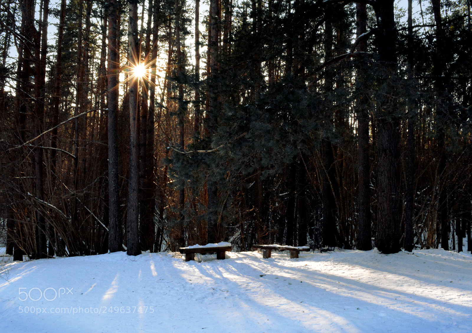 Nikon D5200 sample photo. Untitled photography