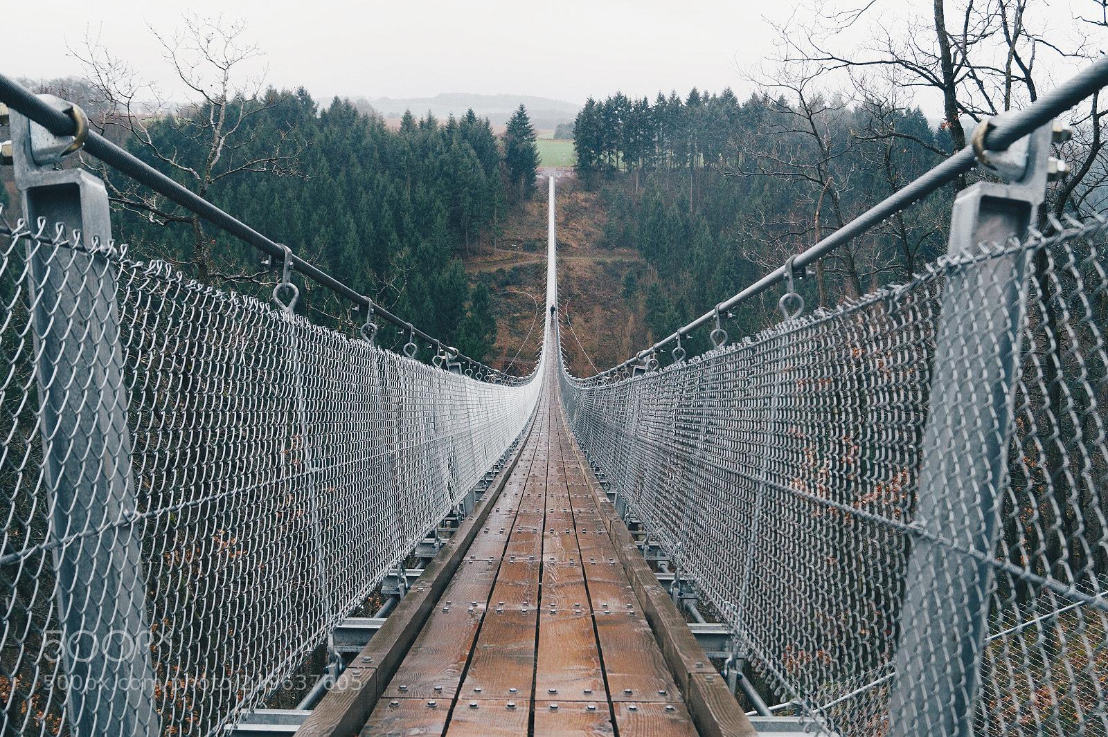 Sony SLT-A58 sample photo. Geierlay, rope suspension bridge  photography