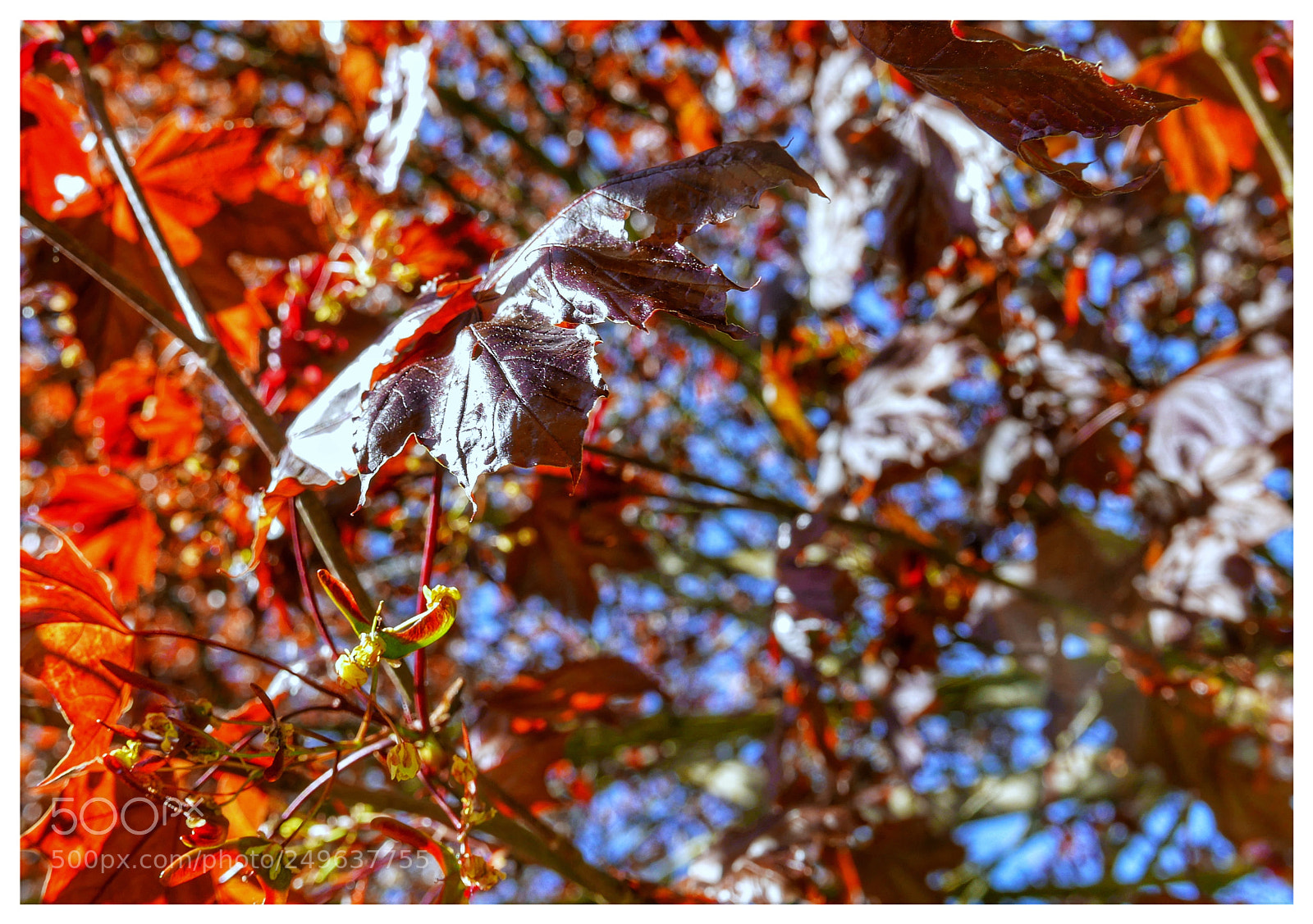 Panasonic Lumix DMC-LX100 sample photo. Untitled photography