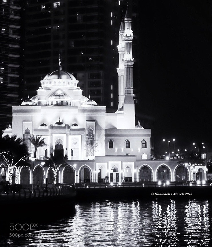 Nikon D5600 sample photo. Untitled photography