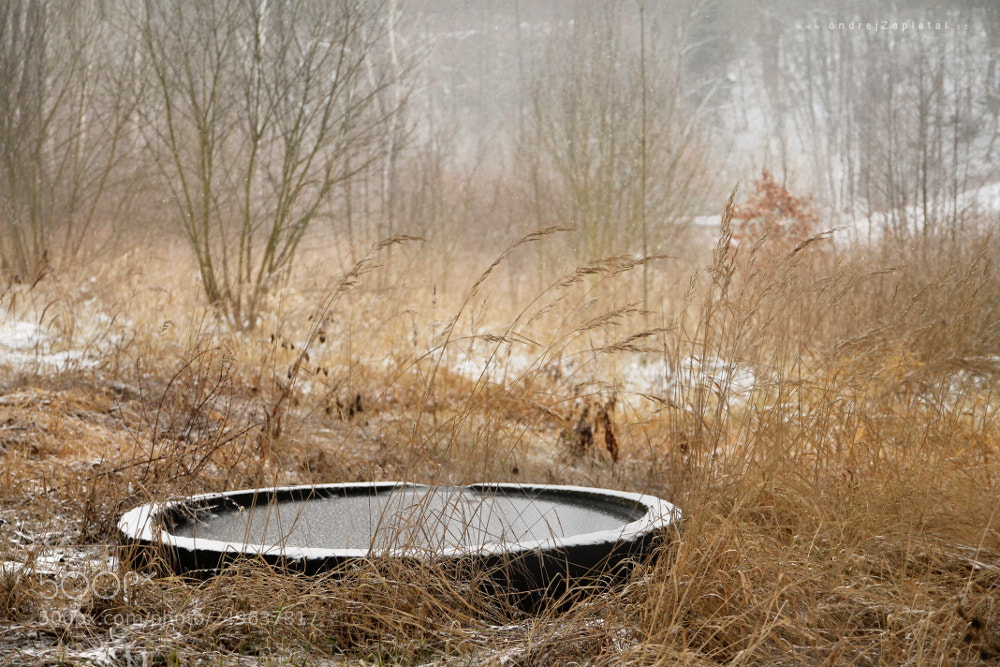 Canon EOS 1100D (EOS Rebel T3 / EOS Kiss X50) sample photo. Wheel of water photography