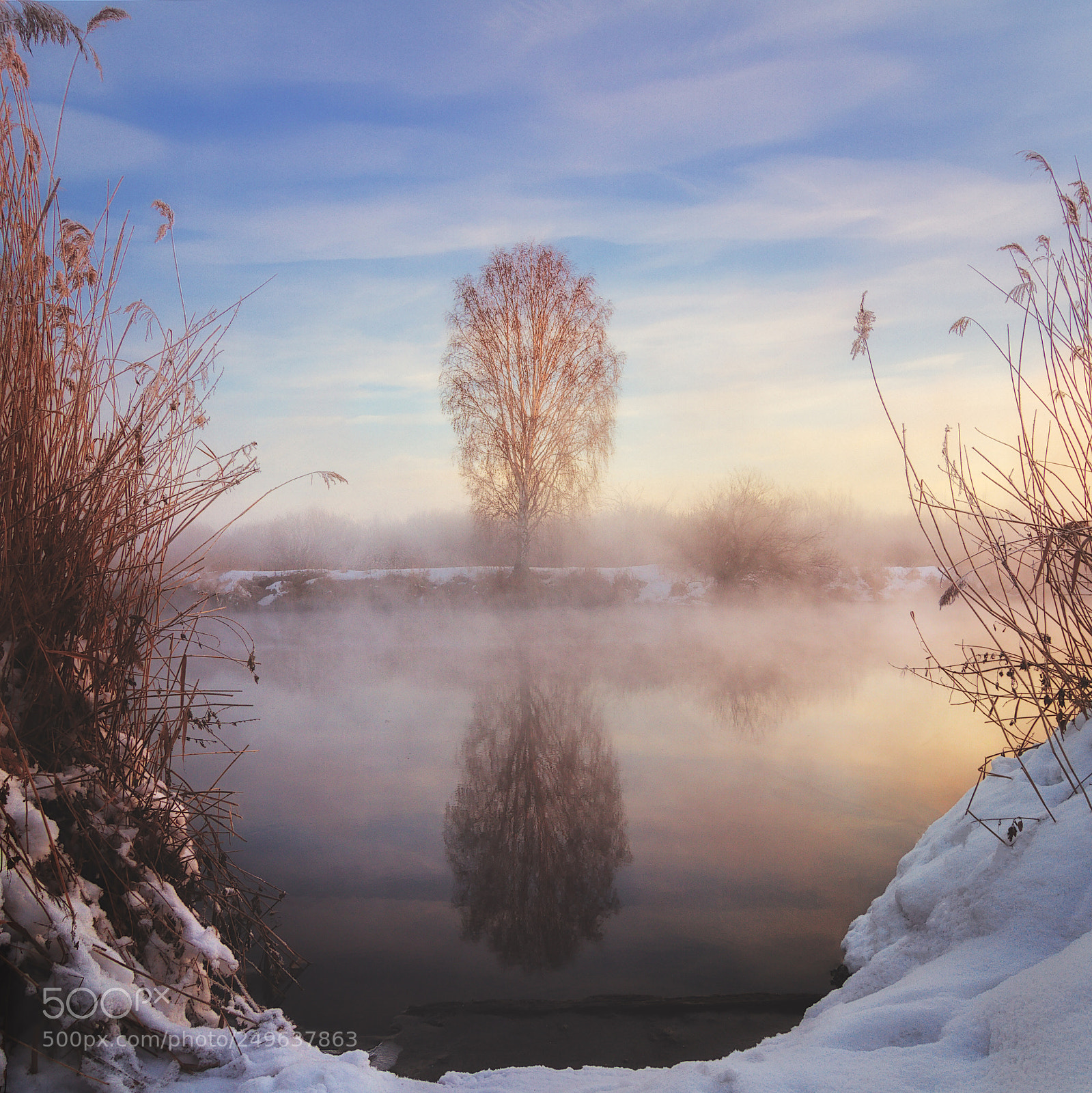 Canon EOS 7D sample photo. Lonely tree photography