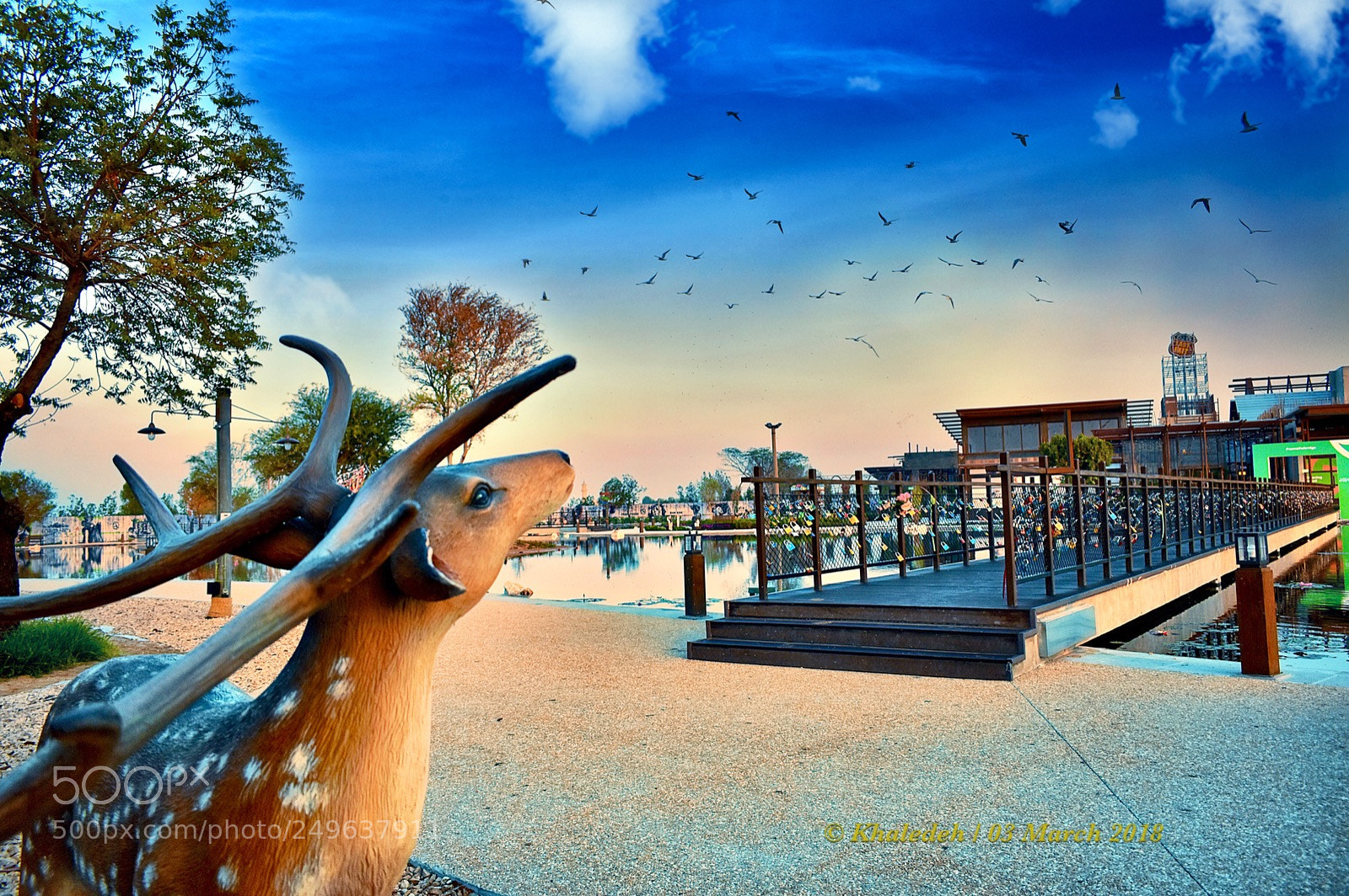 Nikon D5600 sample photo. Untitled photography