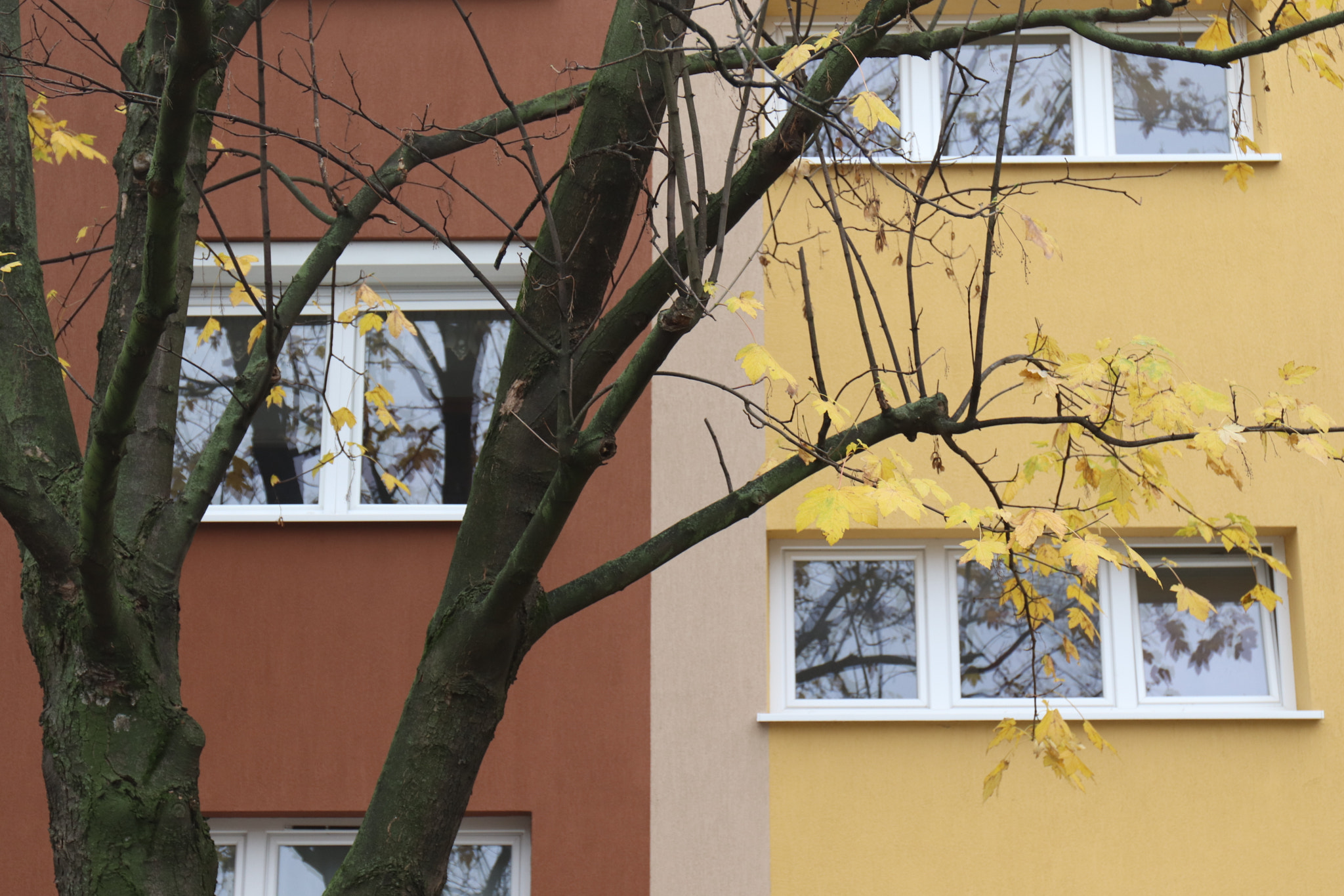 Canon EF 24-70mm F4L IS USM sample photo