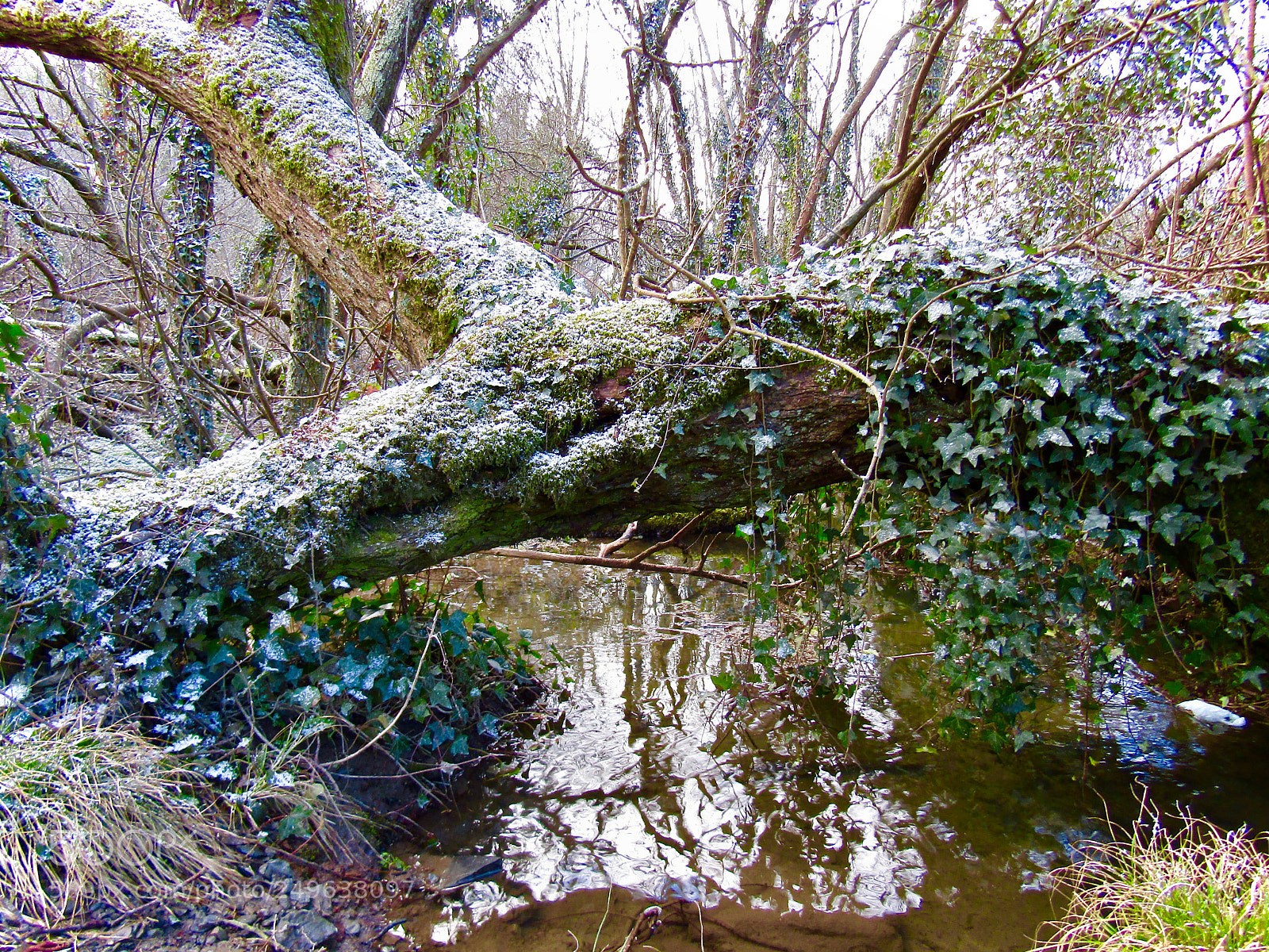 Canon PowerShot SX410 IS sample photo. Welsh winters are the photography