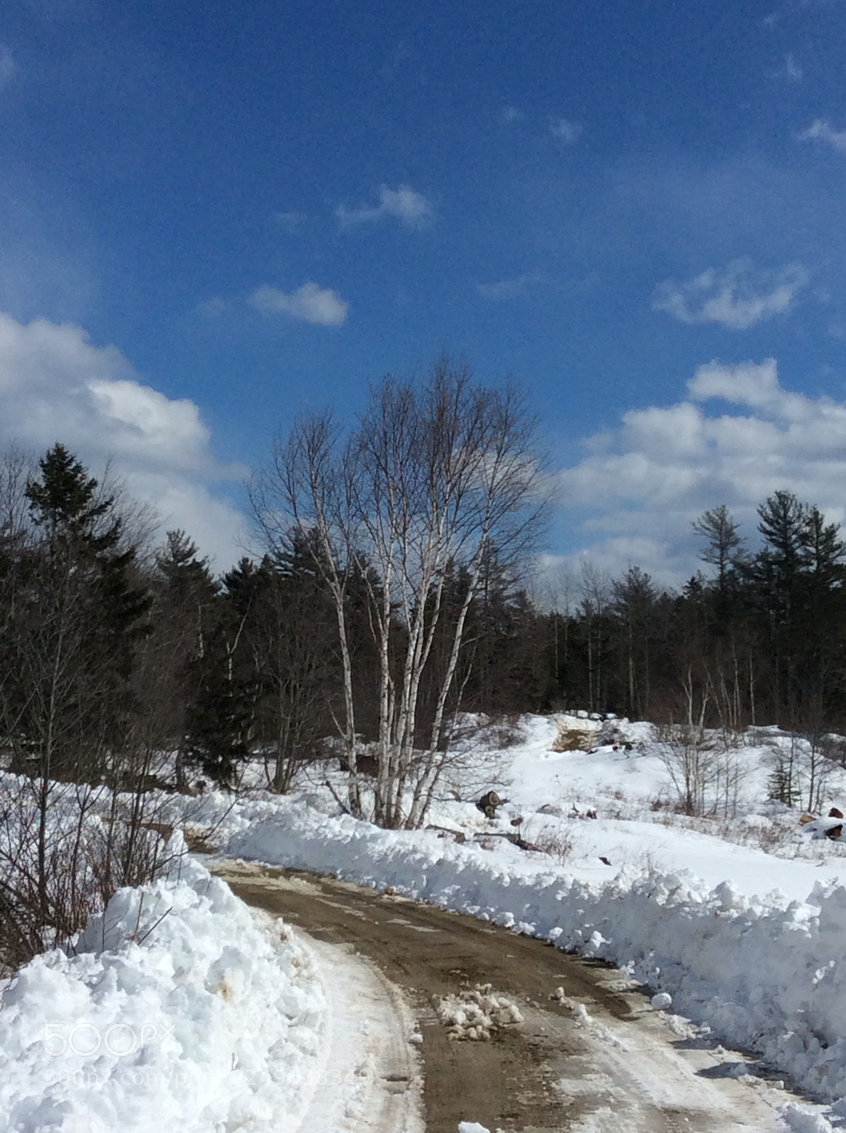 Apple iPad mini 2 sample photo. Blue sky in maine photography