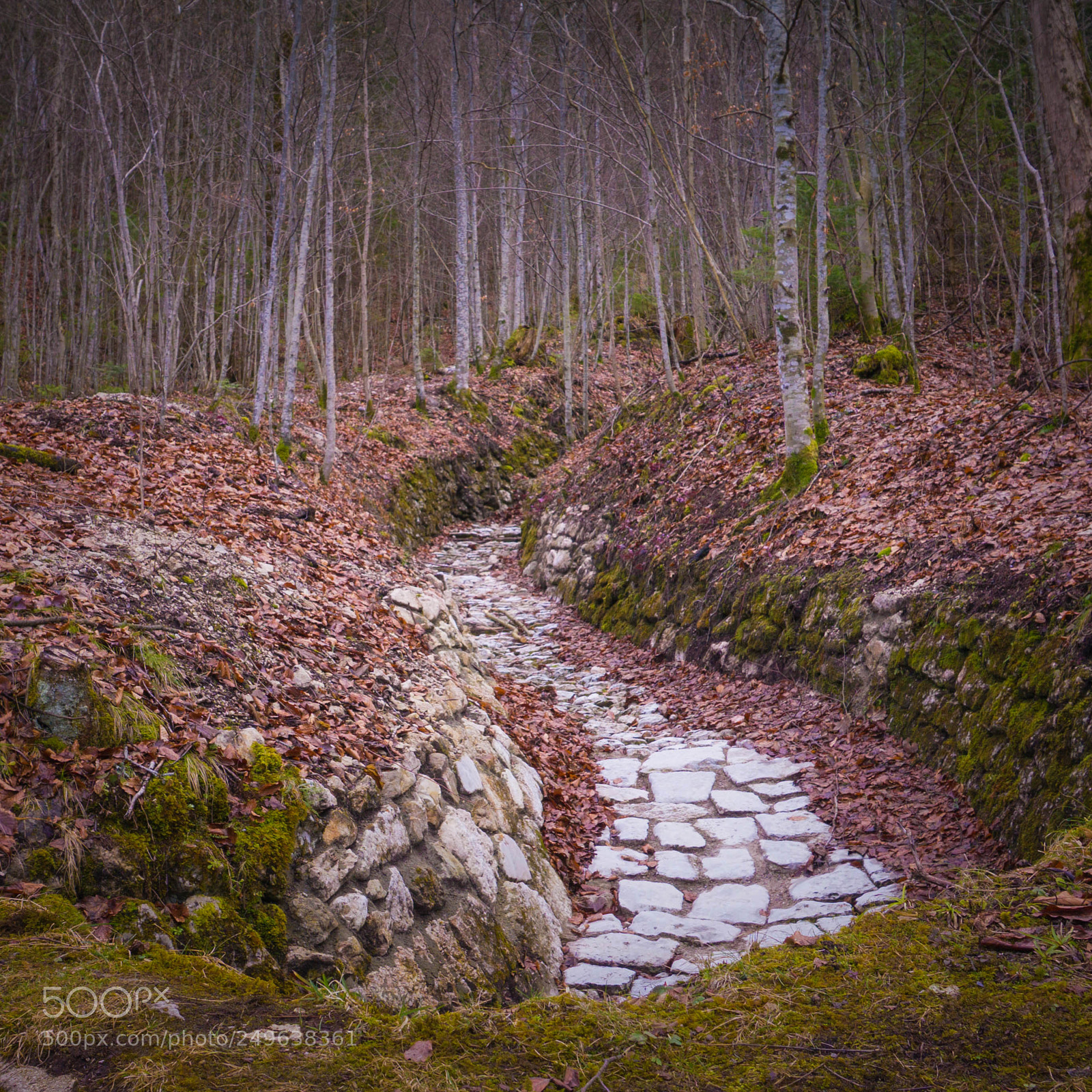 Sony a6000 sample photo. Path photography