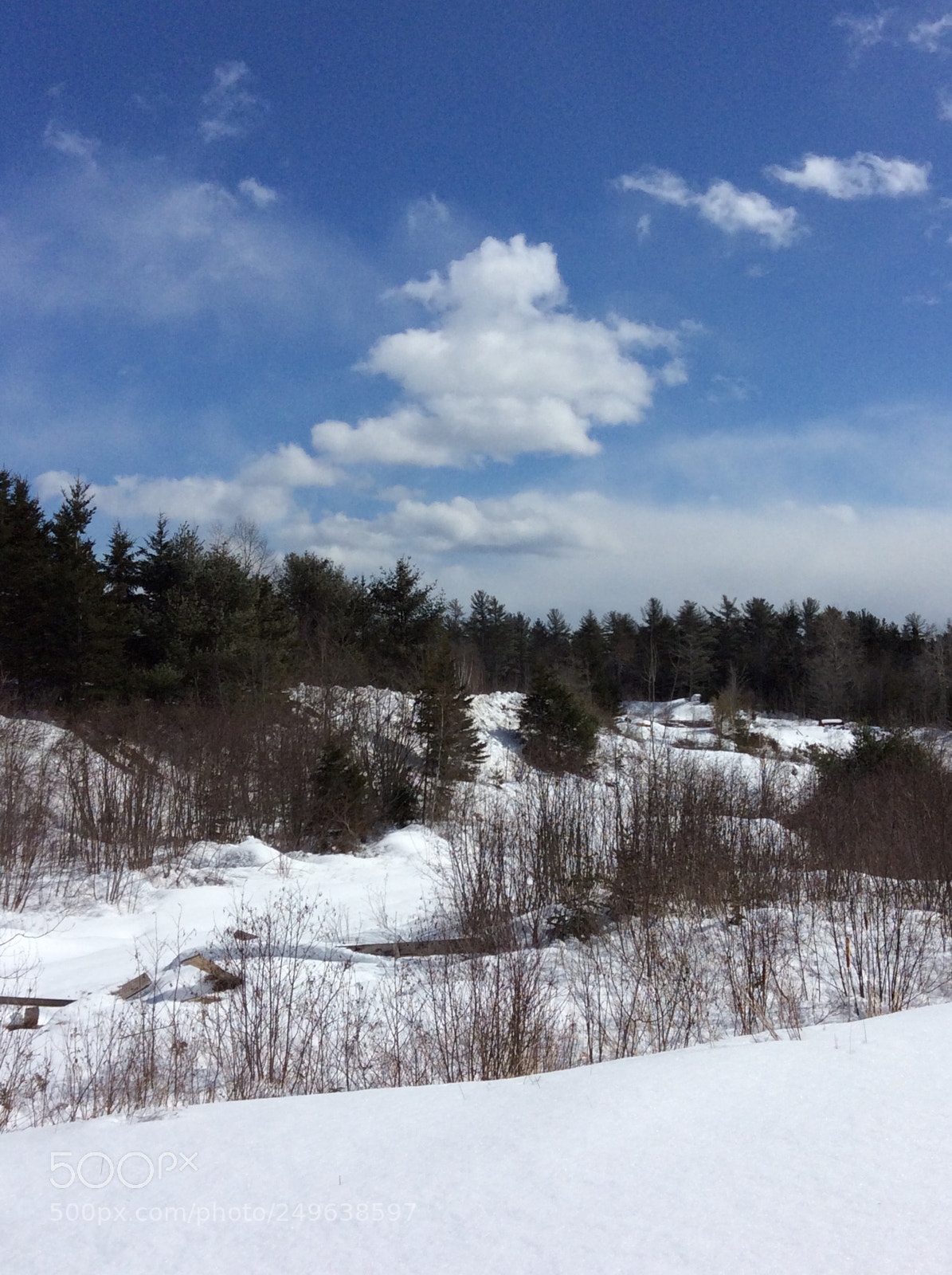 Apple iPad mini 2 sample photo. White puffy clouds and photography