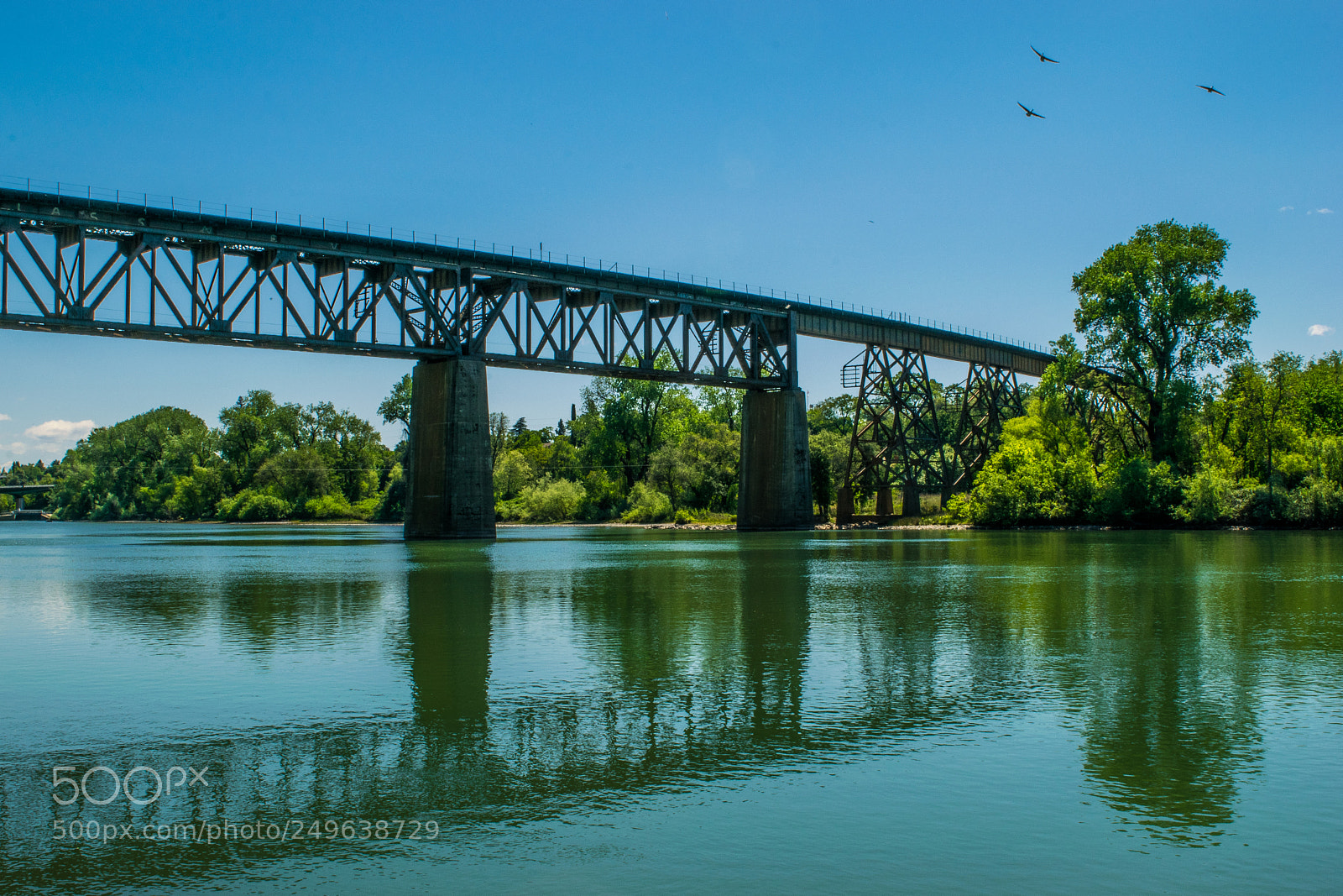 Nikon D5300 sample photo. Untitled photography