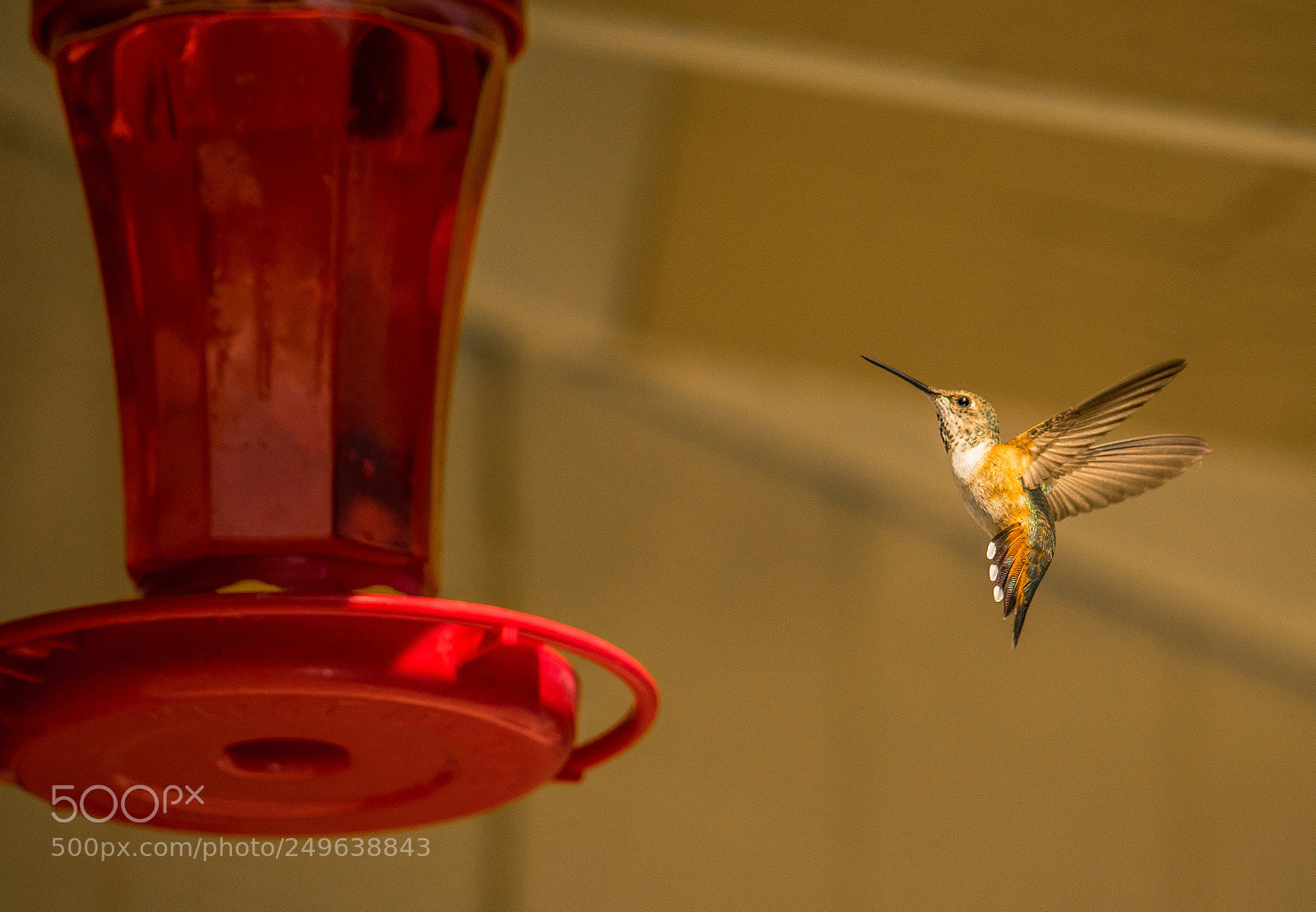 Nikon D5300 sample photo. Untitled photography