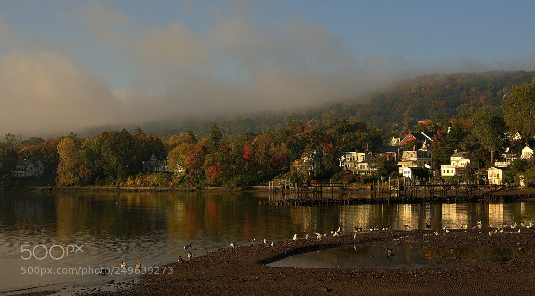 Nikon D300 sample photo. The morning sun on photography