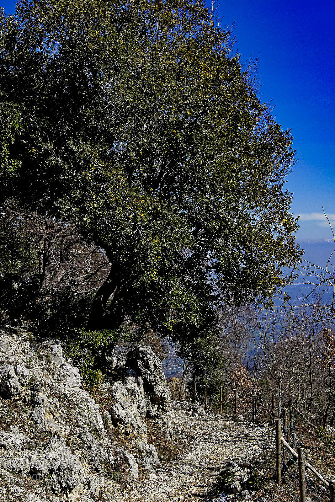 Canon EOS 7D Mark II sample photo. Untitled photography