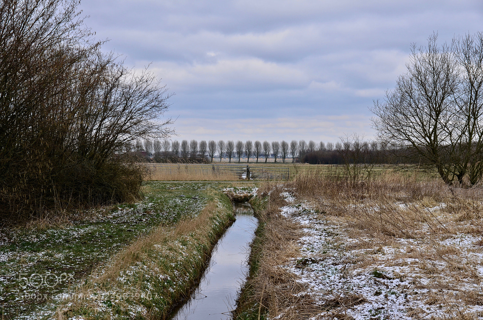 Nikon D5100 sample photo. The horizon is organised photography
