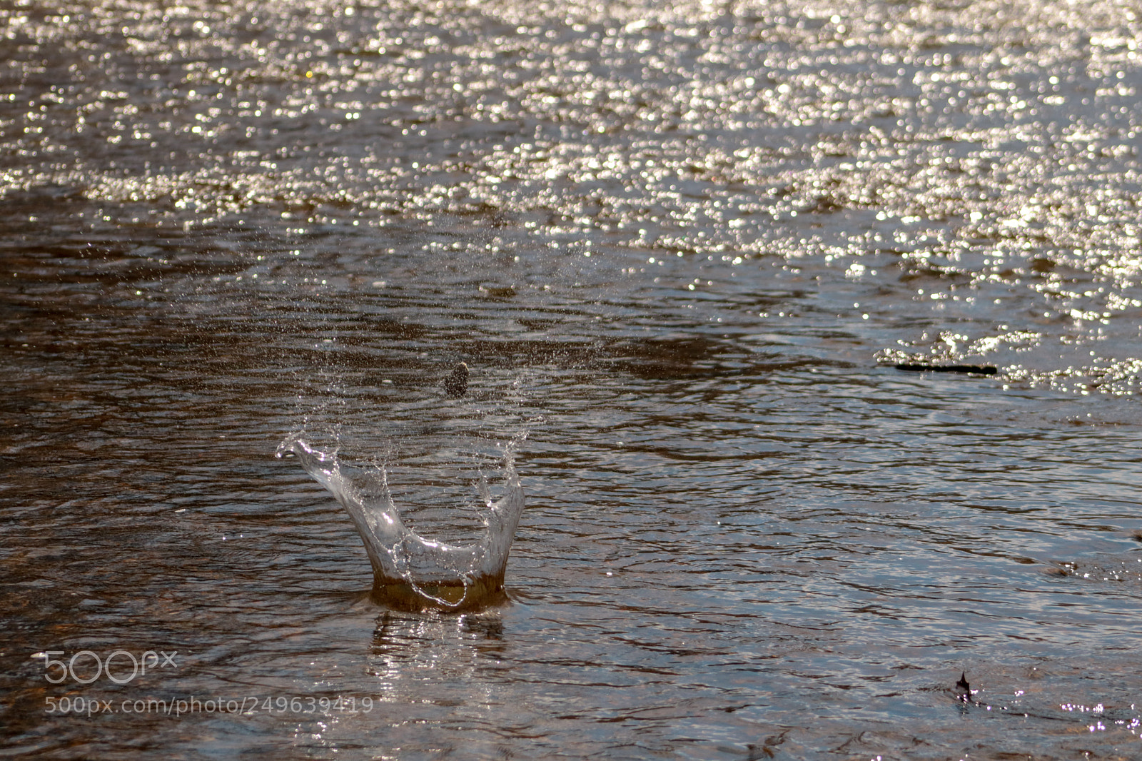 Canon EOS 750D (EOS Rebel T6i / EOS Kiss X8i) sample photo. Splash photography