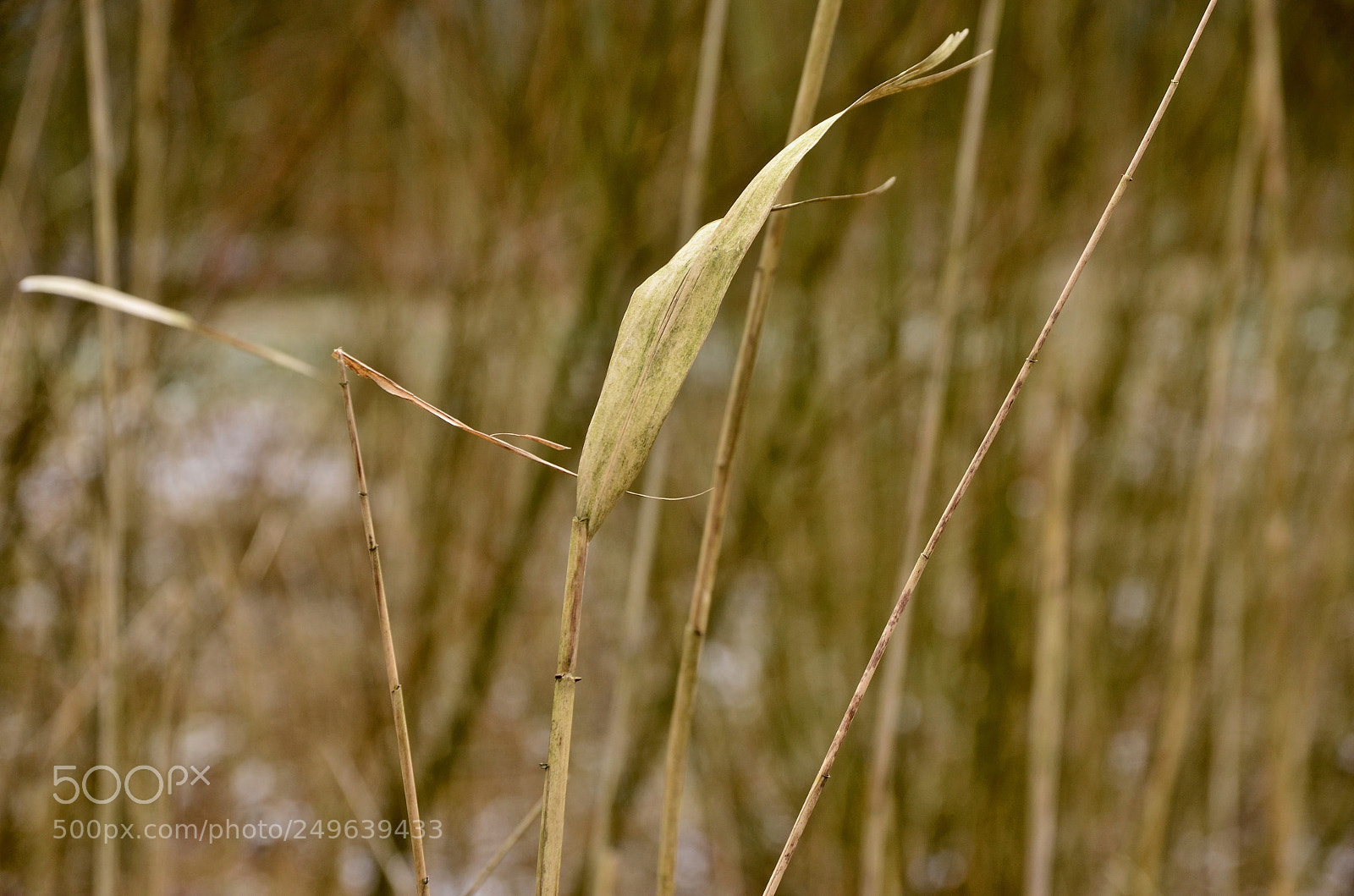 Nikon D5100 sample photo. Waving back (being polite) photography
