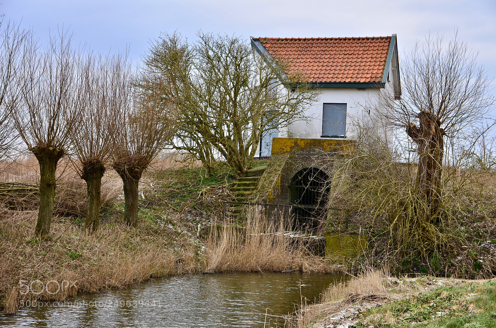 Nikon D5100 sample photo. Little house on the photography