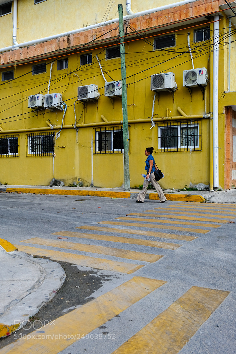 Fujifilm X-T2 sample photo. Yellow photography