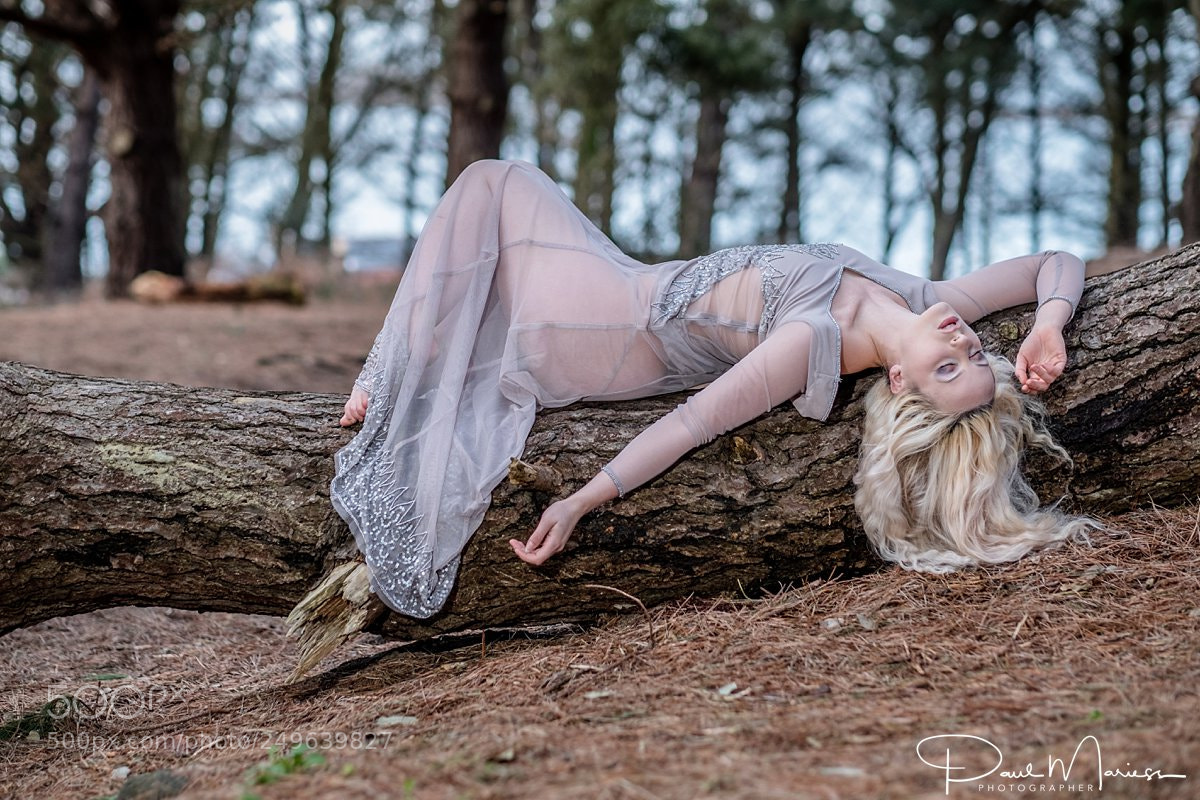 Fujifilm X-Pro2 sample photo. Fallen angel photography