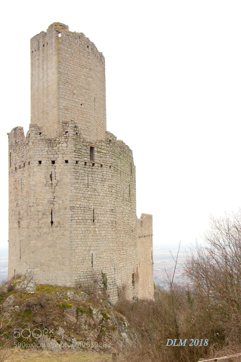 Canon EOS 700D (EOS Rebel T5i / EOS Kiss X7i) sample photo. Castle ortenburg photography