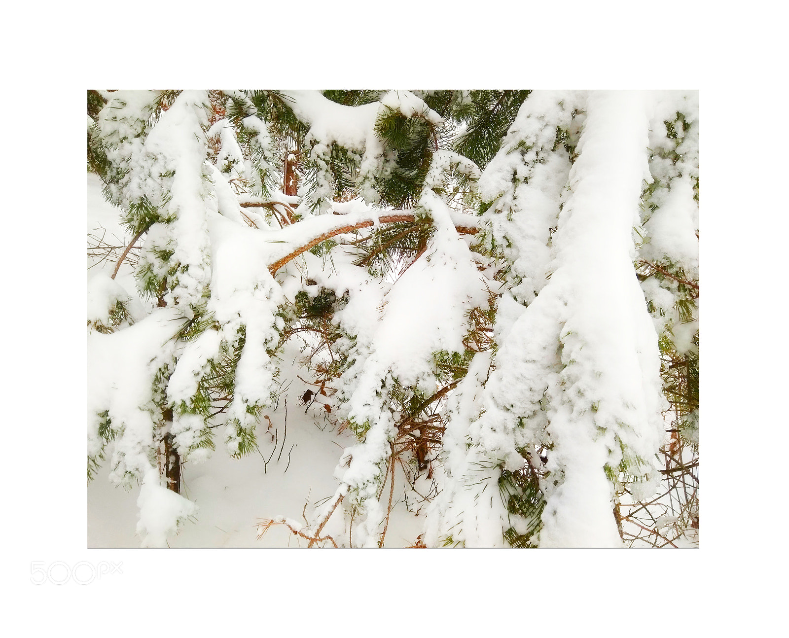 Xiaomi Redmi 4A sample photo. Winter in the march photography