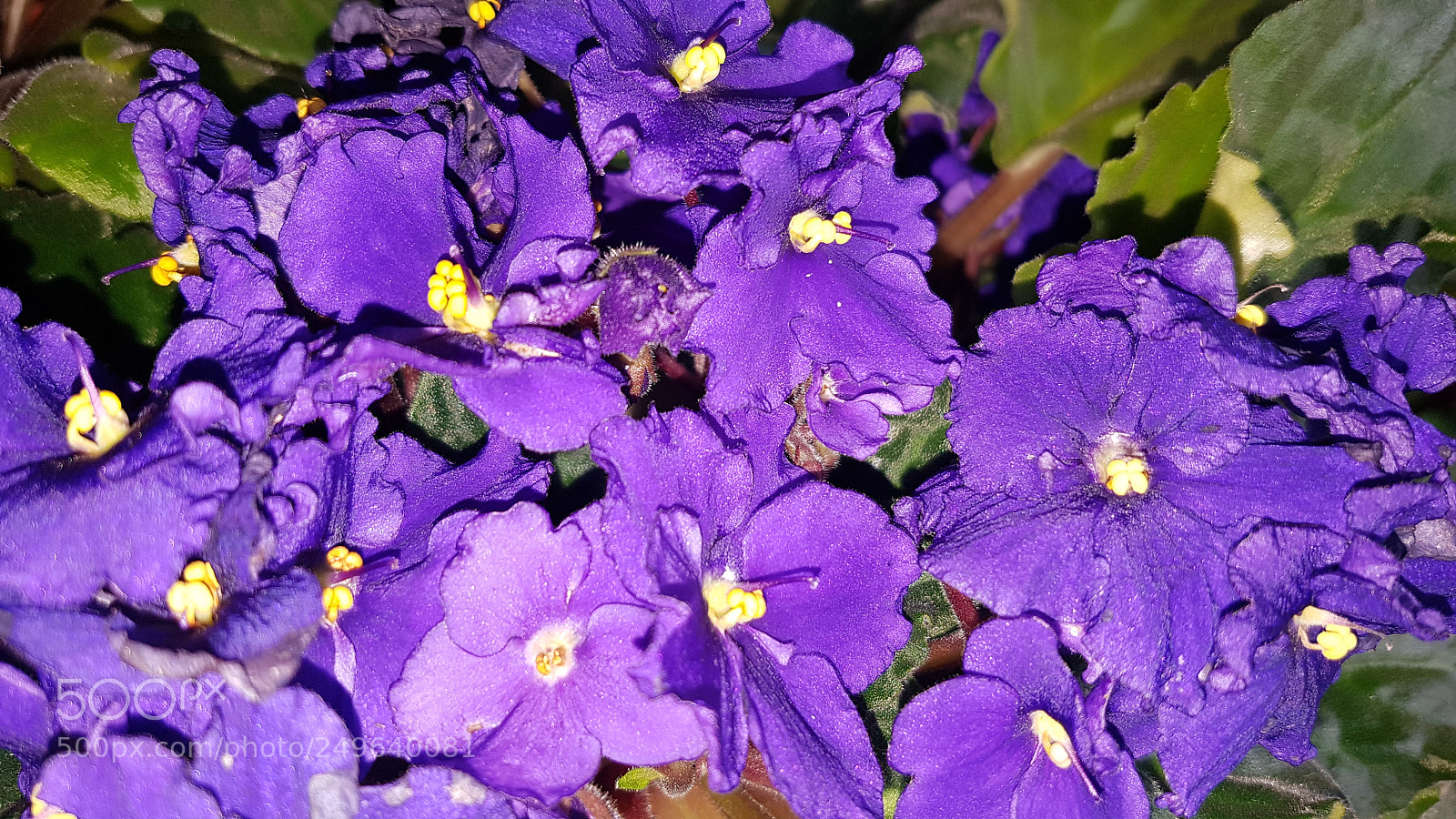 Samsung Galaxy S7 sample photo. Untitled photography