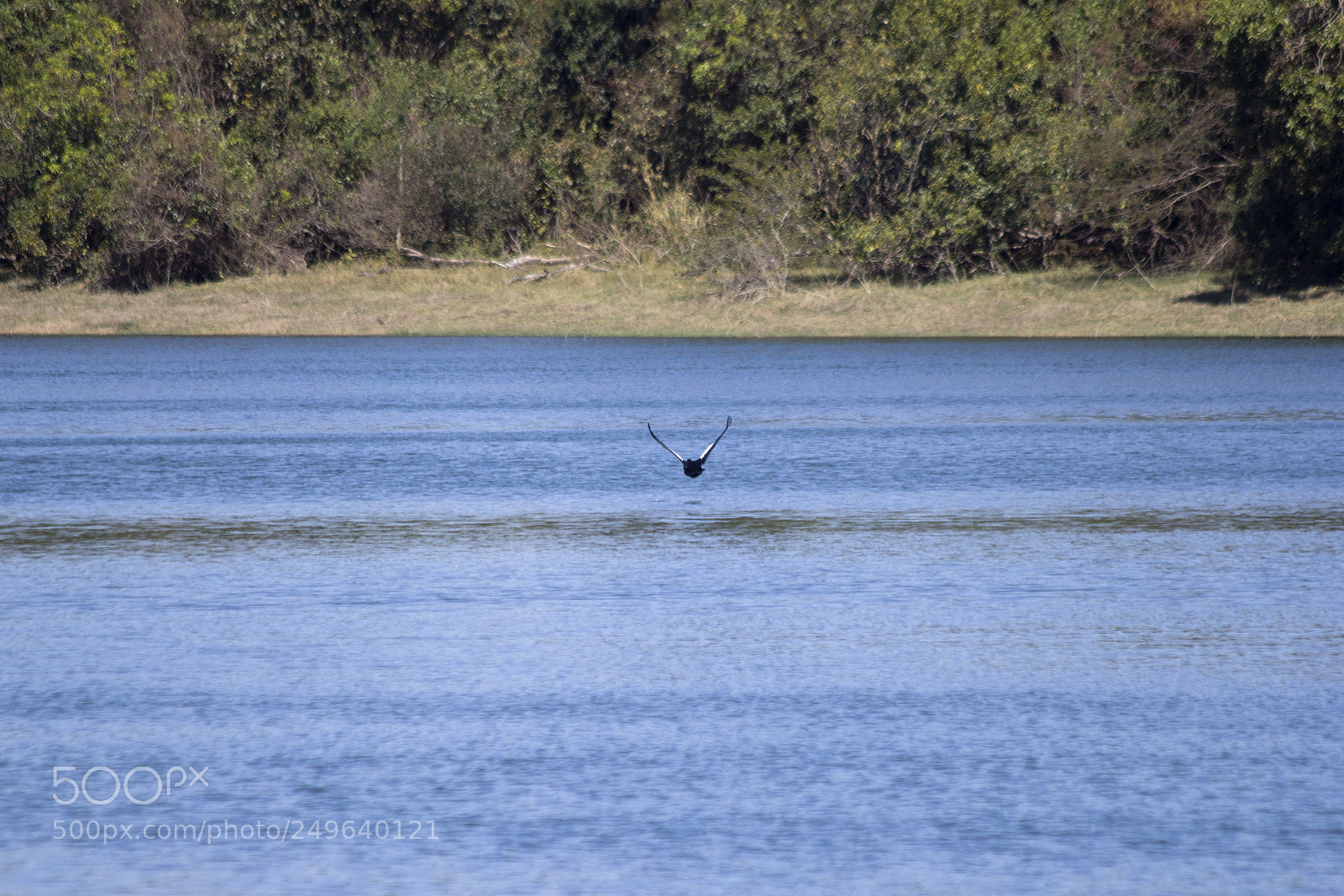 Canon EOS 60D sample photo. Img photography