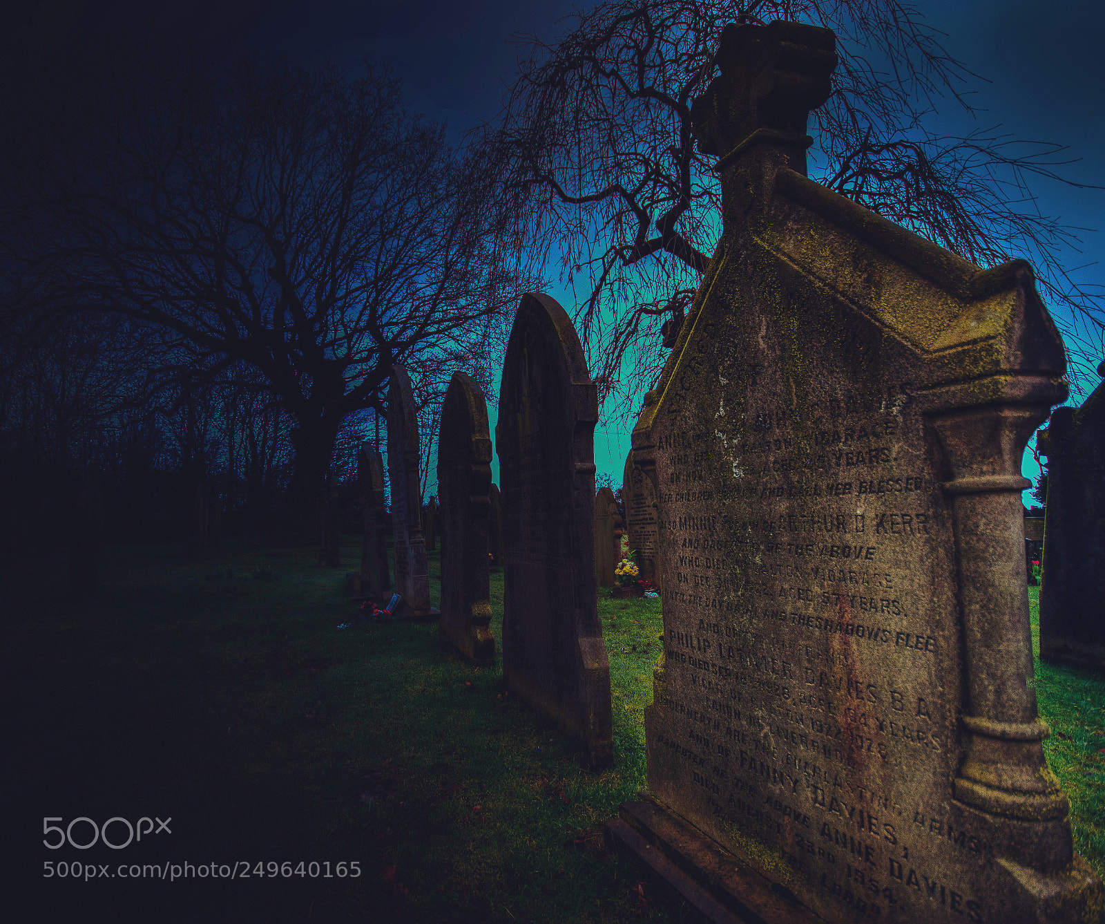 Nikon D5500 sample photo. Graveyard blues photography