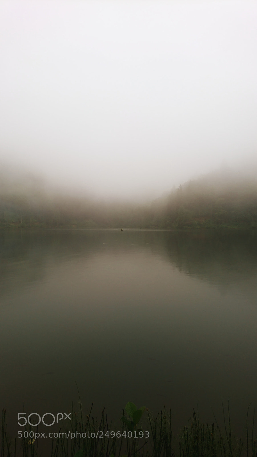Sony Xperia XZ sample photo. Quiet lake photography