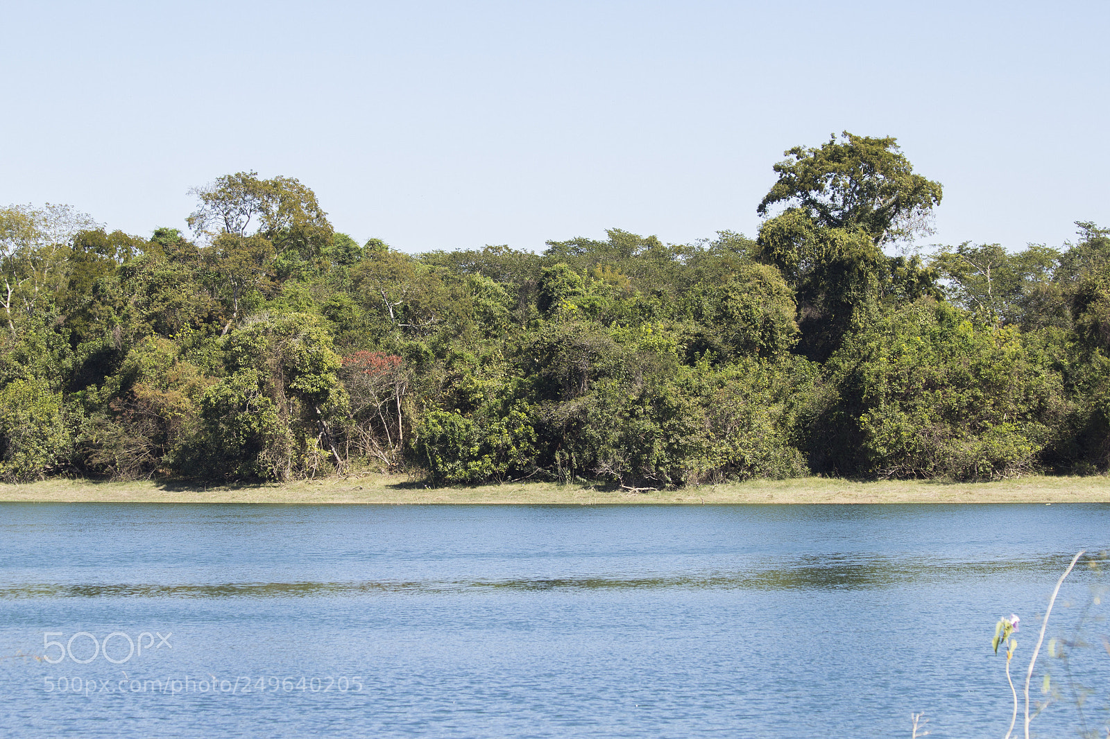 Canon EOS 60D sample photo. Img photography