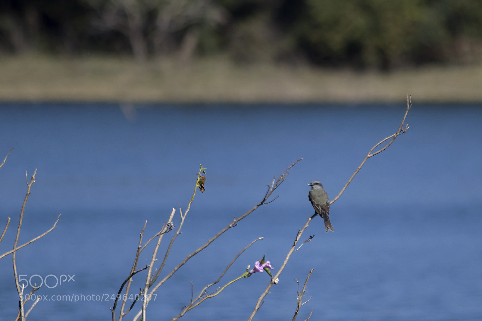 Canon EOS 60D sample photo. Img photography