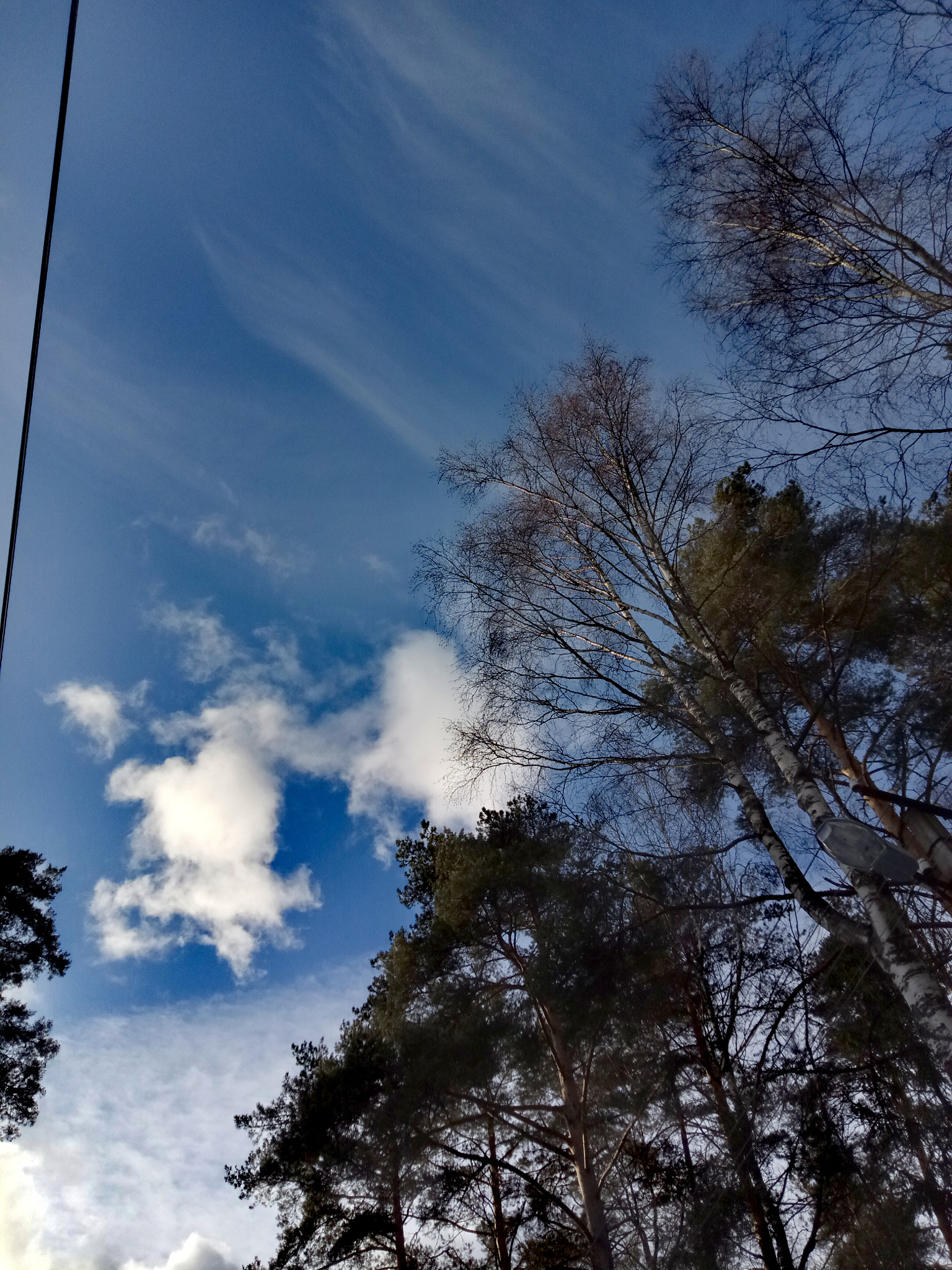 HUAWEI honor 6C Pro sample photo