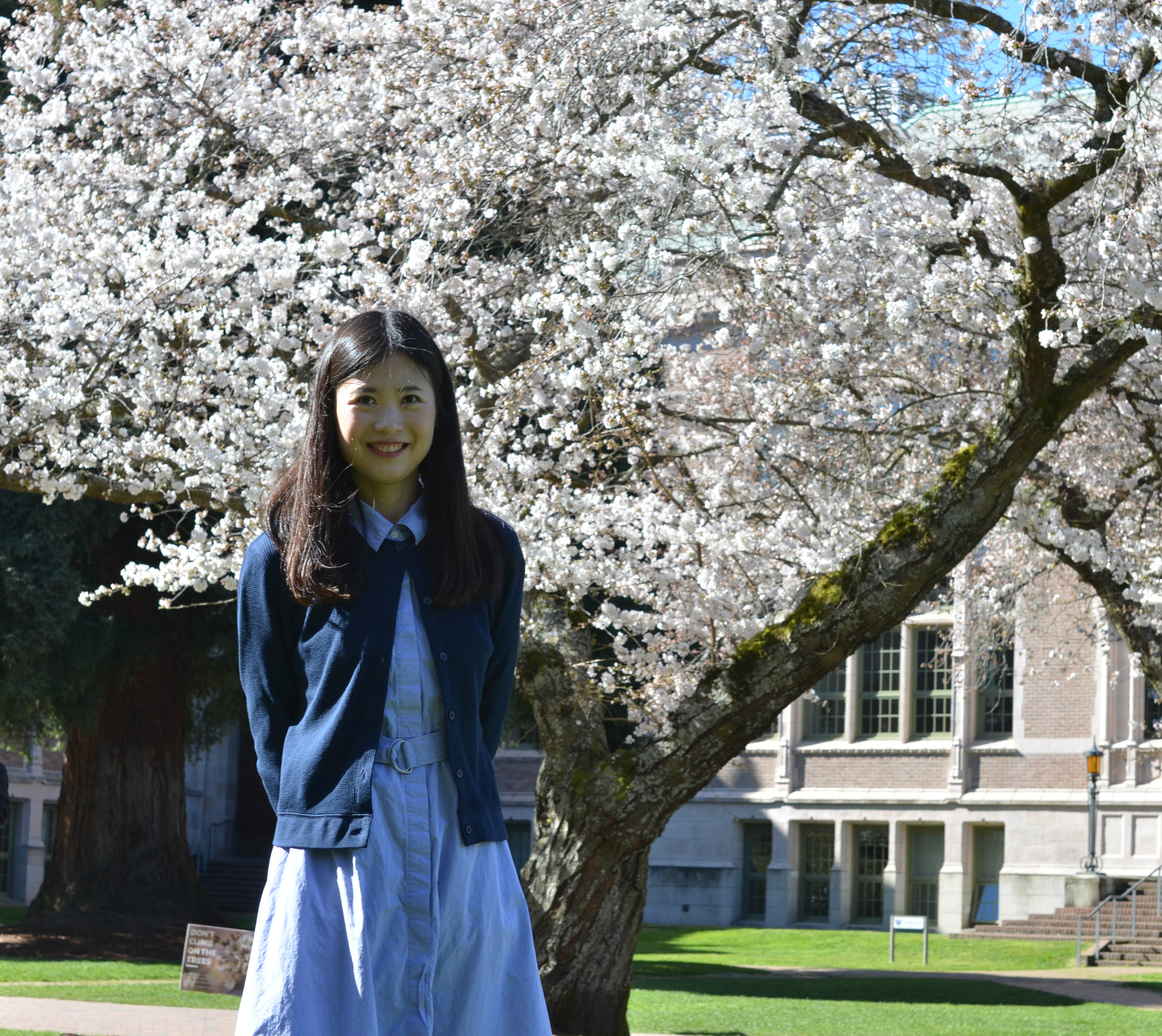 Nikon D7000 sample photo. Uw cherry blossoms photography