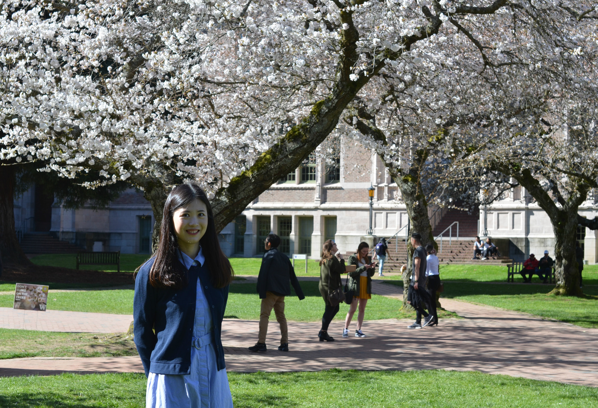 Nikon D7000 + Sigma 50mm F1.4 EX DG HSM sample photo. Uw cherry blossoms photography