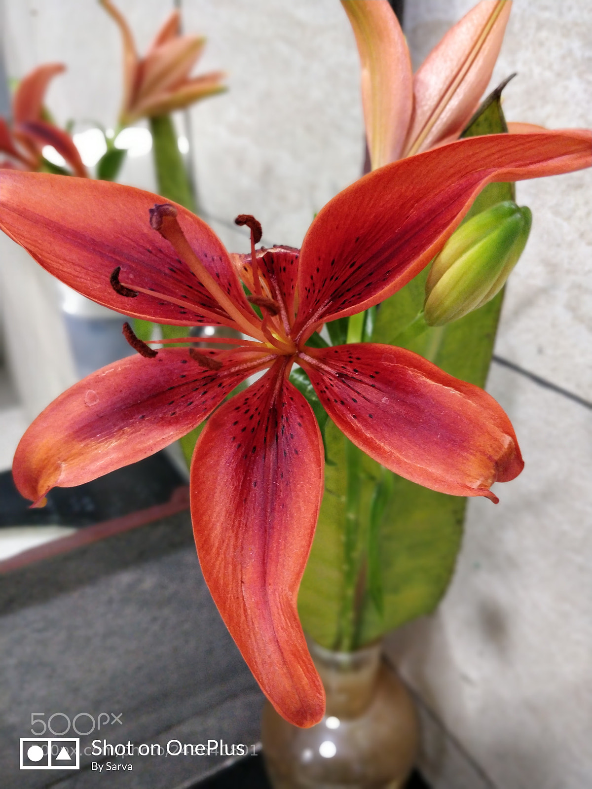 OnePlus 5T sample photo. Untitled photography
