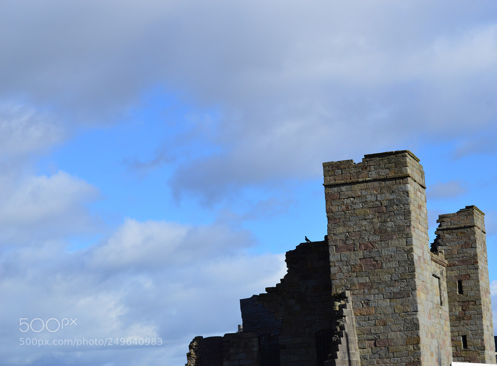 Nikon D3200 sample photo. Untitled photography