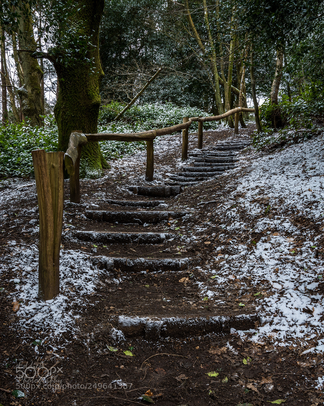 Nikon D7100 sample photo. Steps to leith hill photography