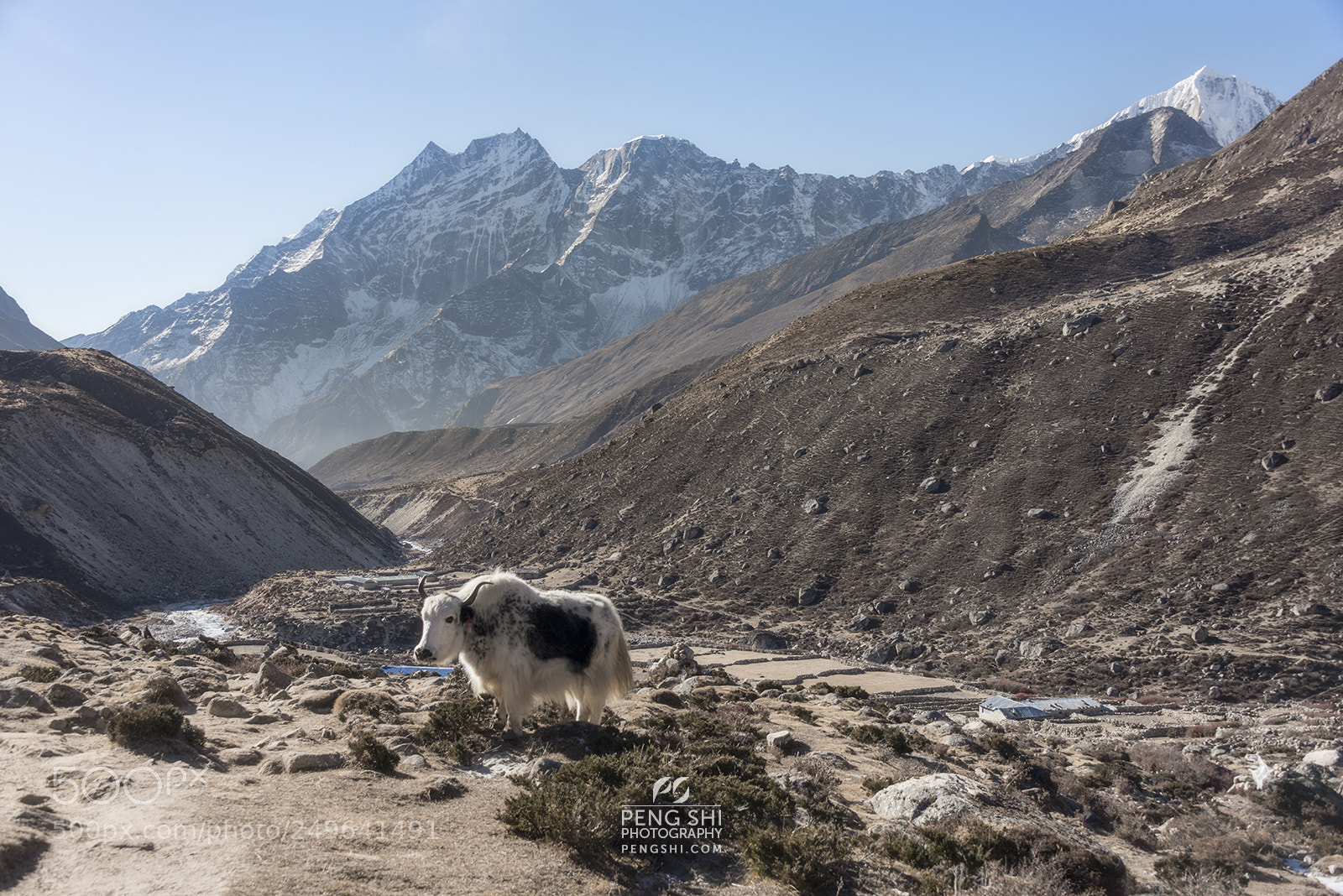 Nikon D810 sample photo. Natural habitat photography