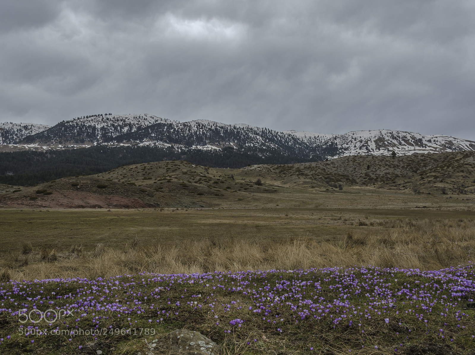 Nikon D5100 sample photo. Spring with winter in photography