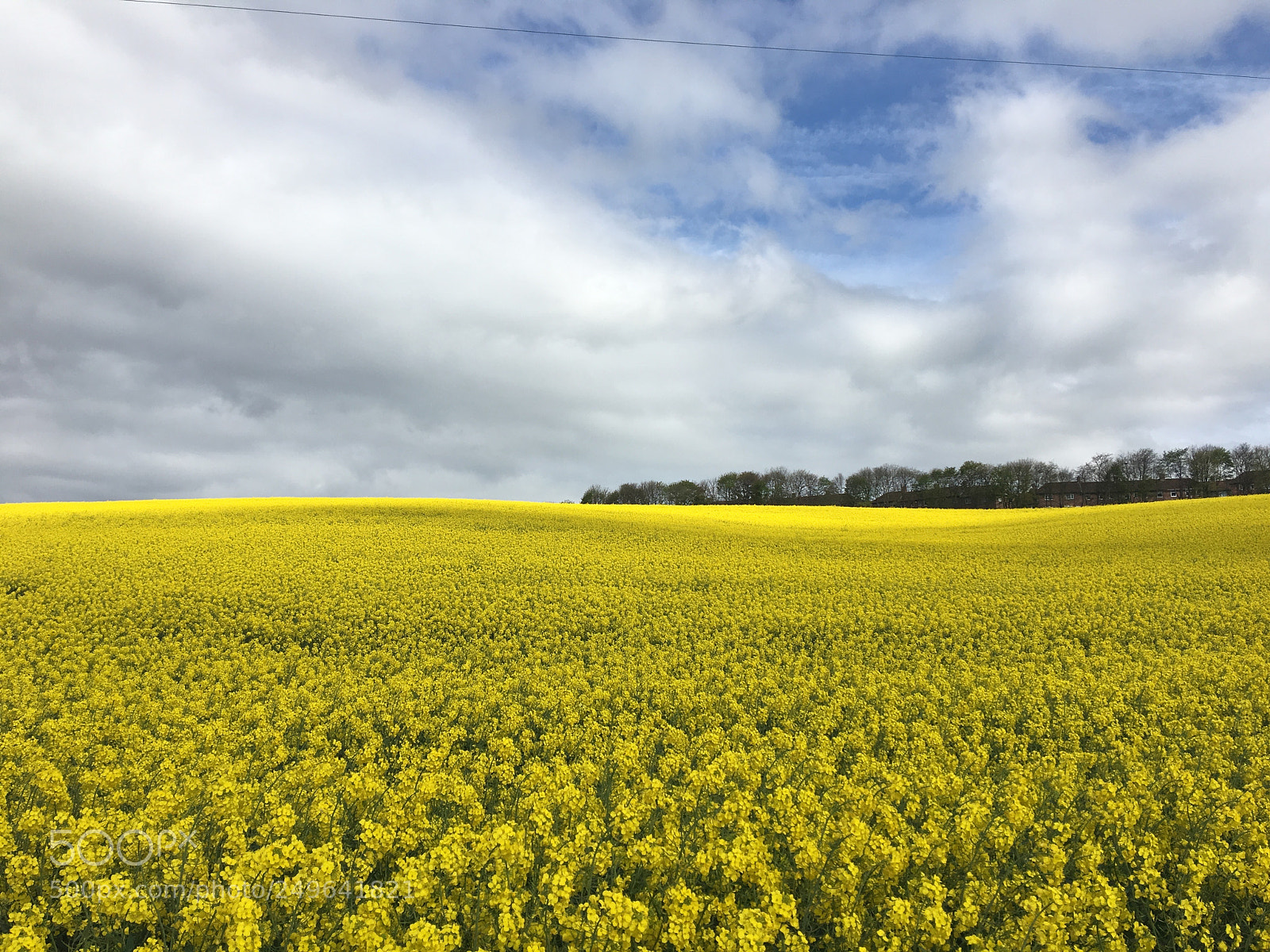 Apple iPhone 6s Plus sample photo. Durham (uk) photography