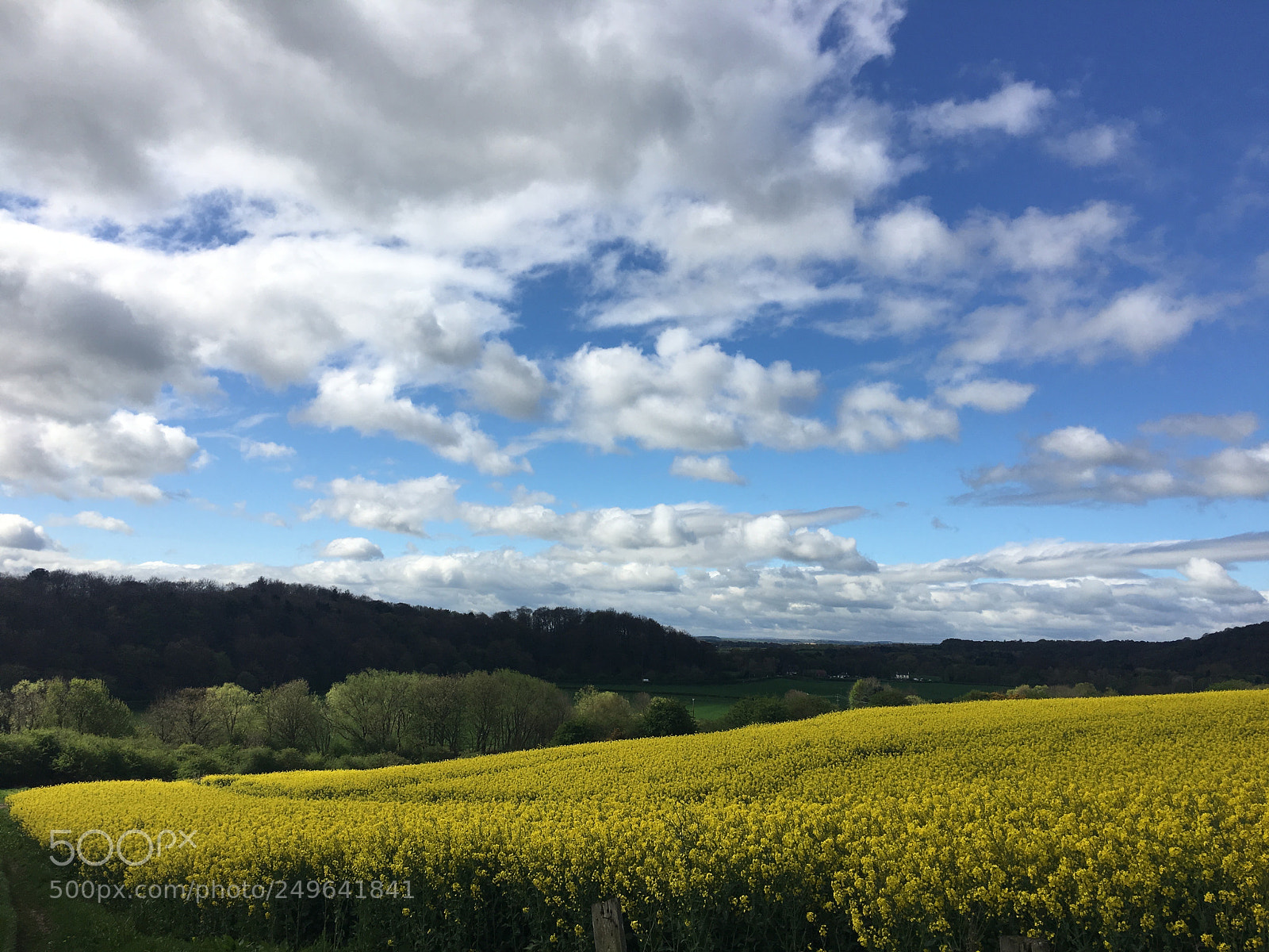 Apple iPhone 6s Plus sample photo. Durham (uk) photography
