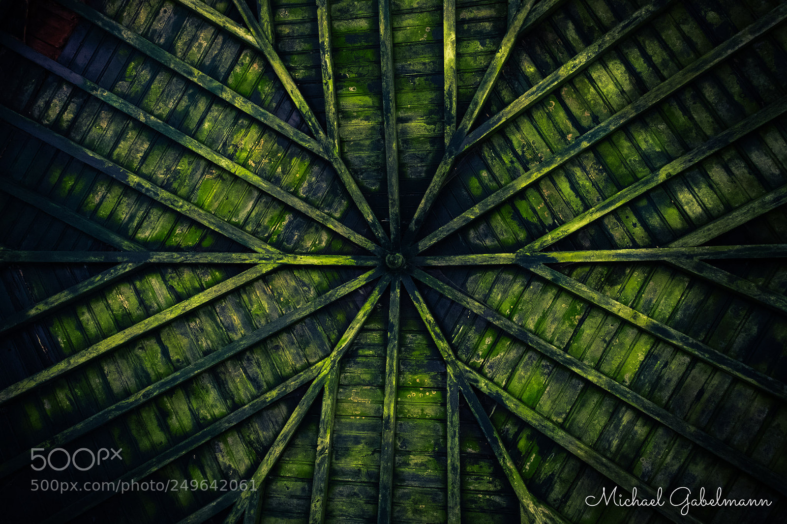 Fujifilm X-T20 sample photo. Green pattern photography