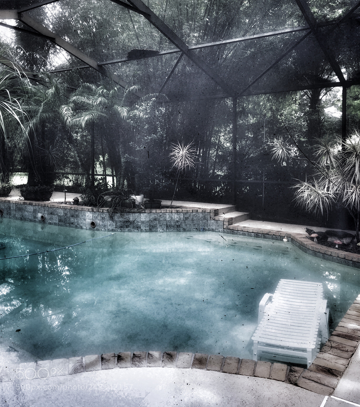 Apple iPhone 6s Plus sample photo. Florida life photography