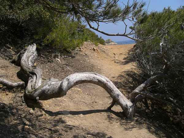 CASIO EX-Z110 sample photos - ExploreCams