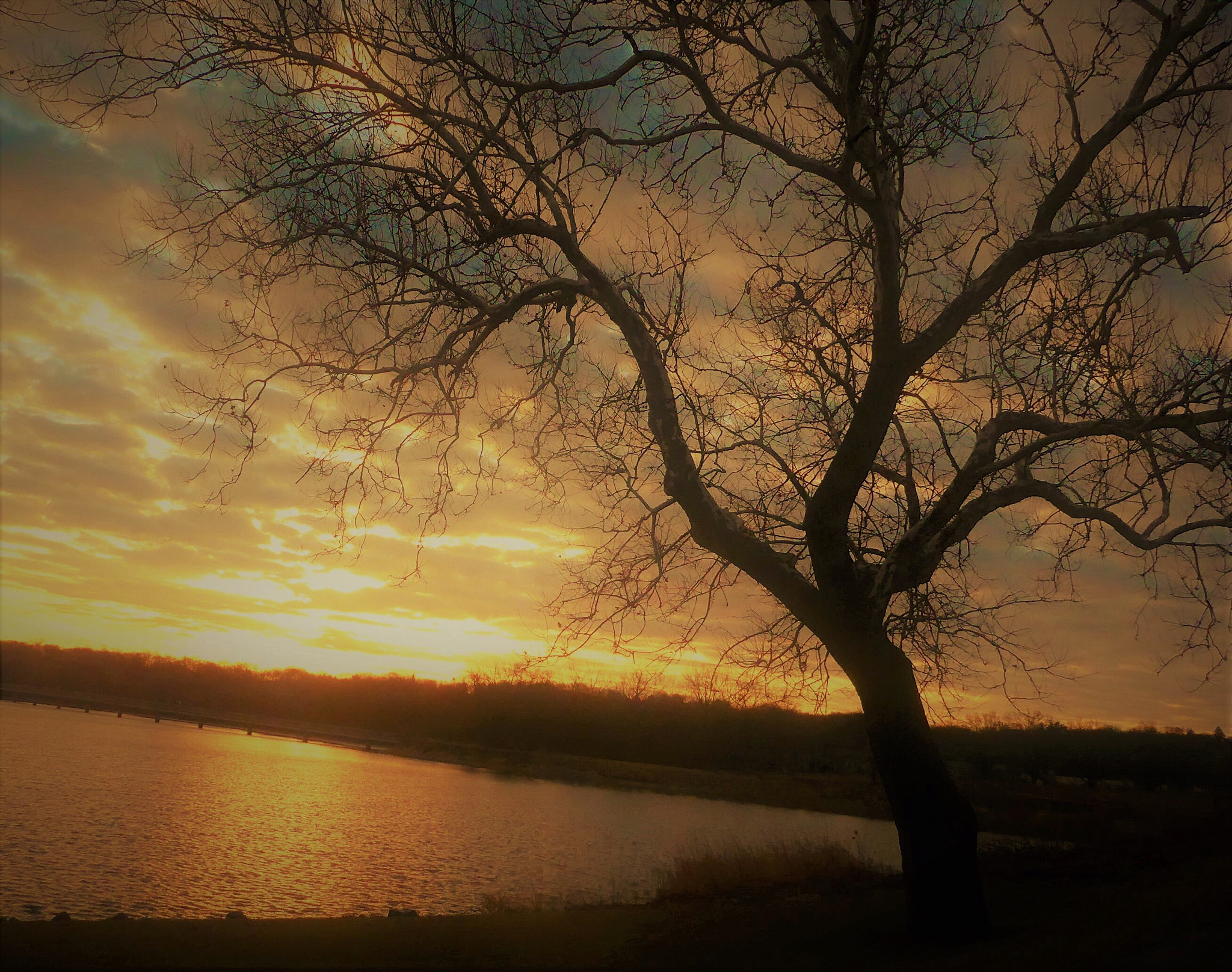 Leica C (Typ 112) sample photo. Sunset photography
