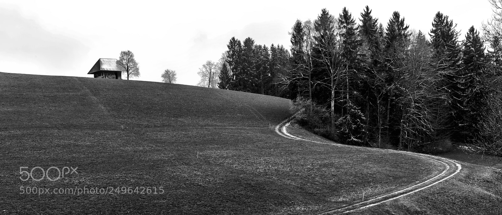 Nikon D700 sample photo. In the woods country photography
