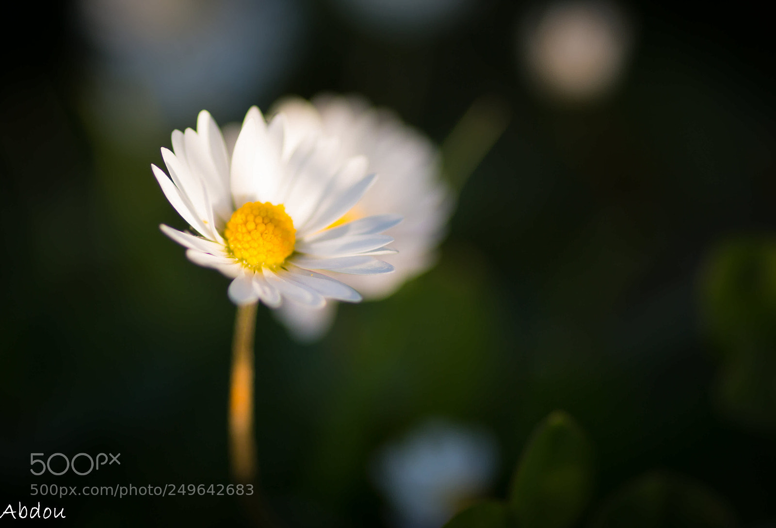 Canon EOS 70D sample photo. Untitled photography