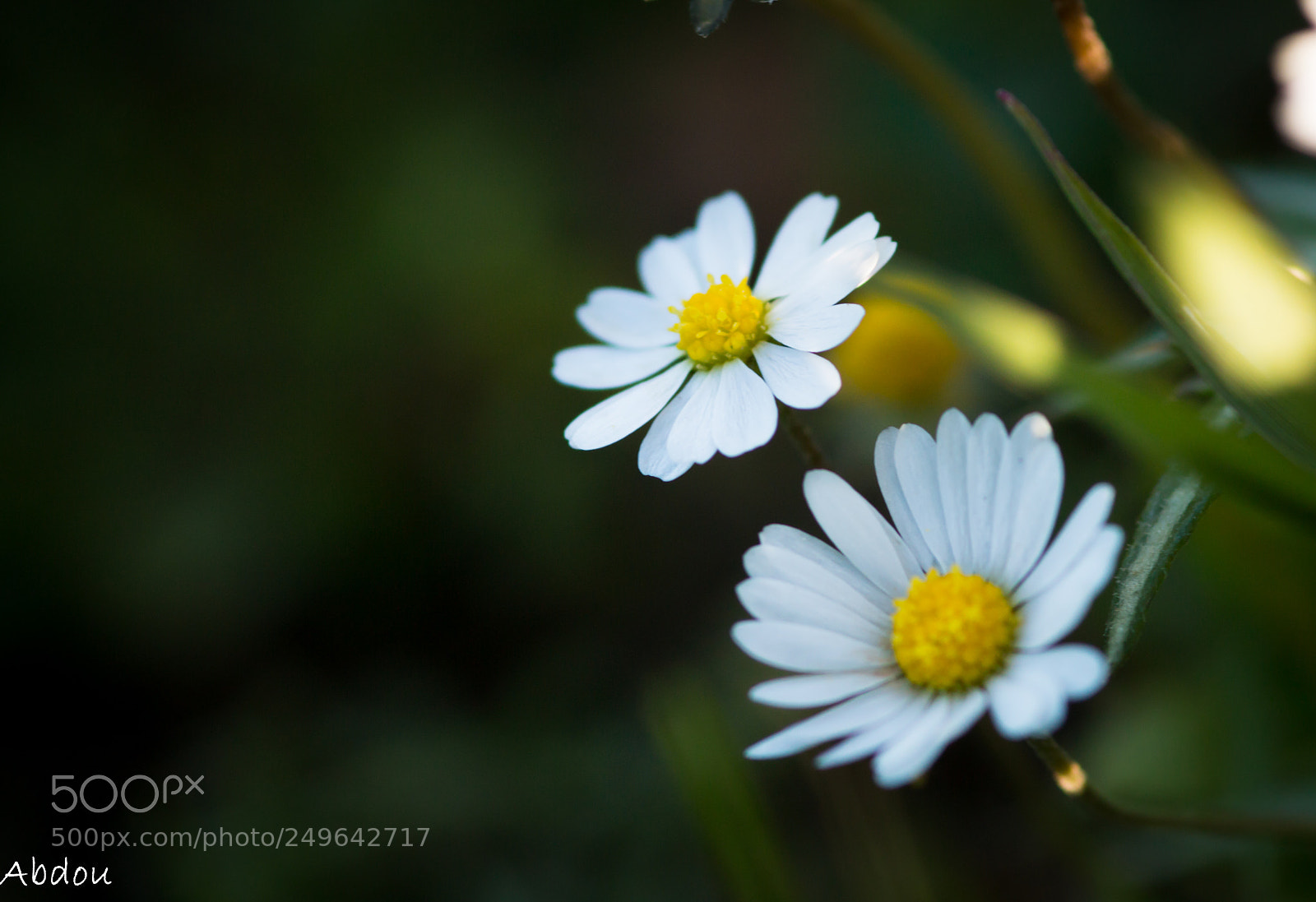 Canon EOS 70D sample photo. Untitled photography