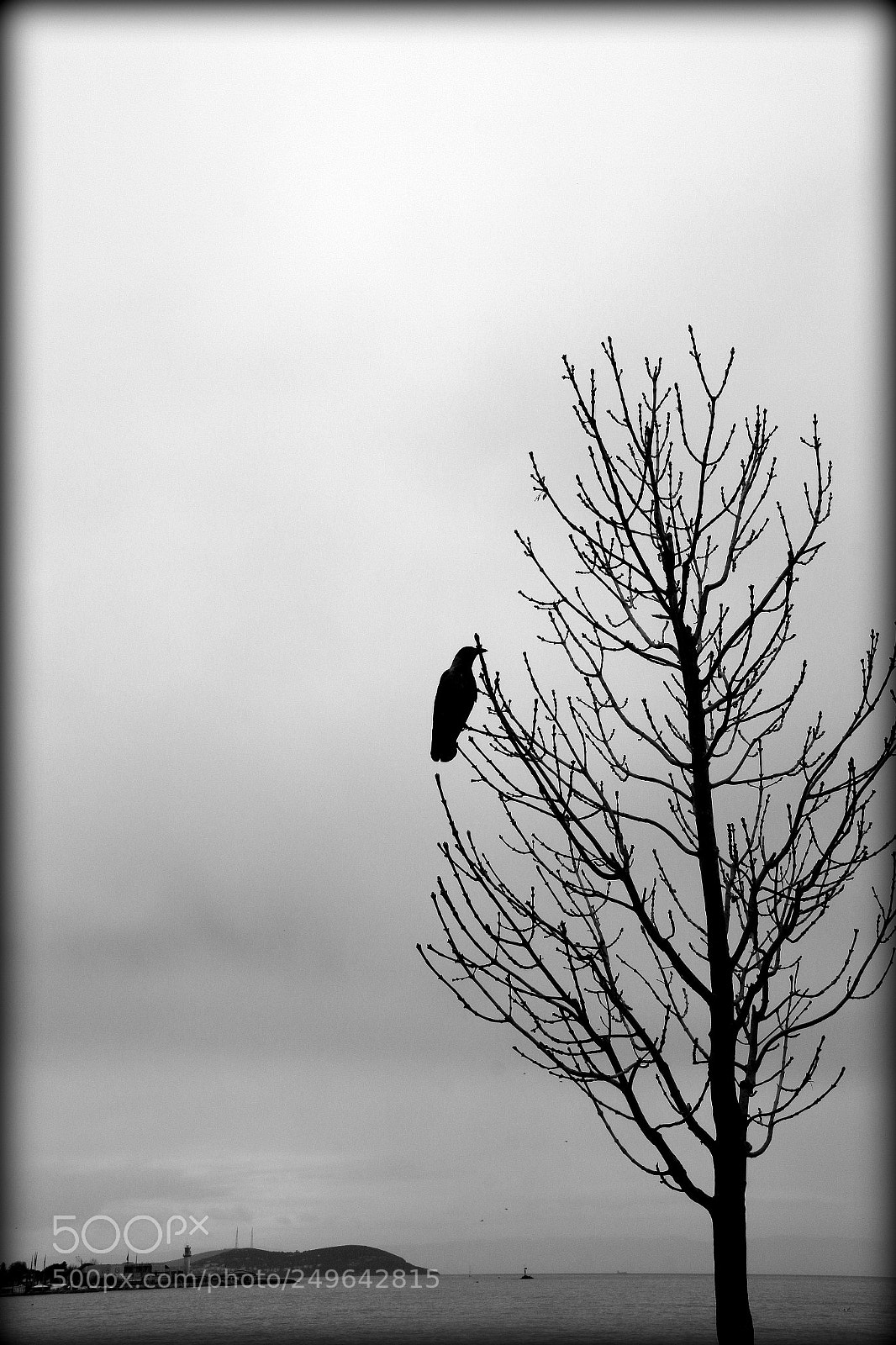 Canon EOS 70D sample photo. Alone photography