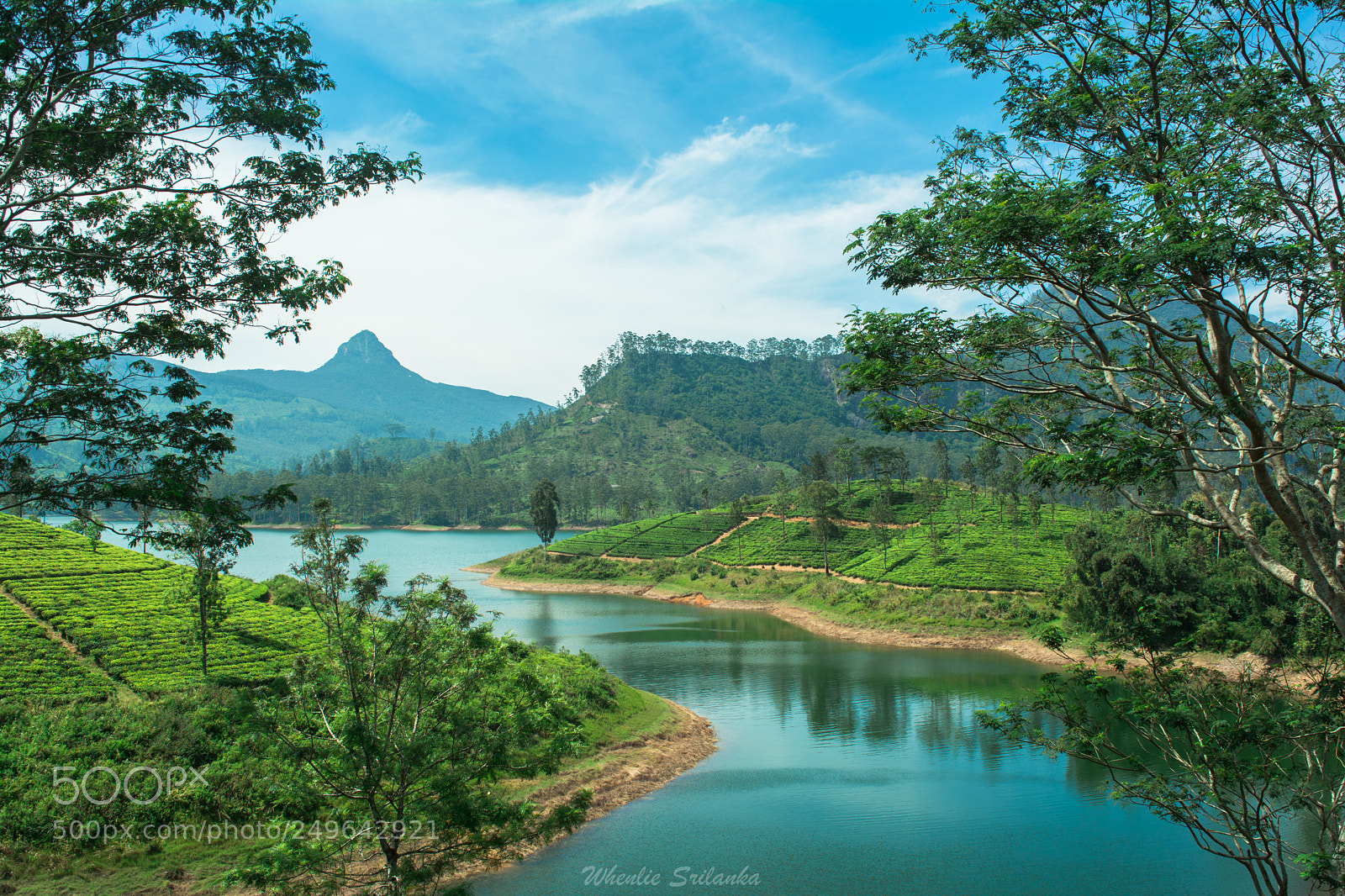 Nikon D5200 sample photo. Dream land photography
