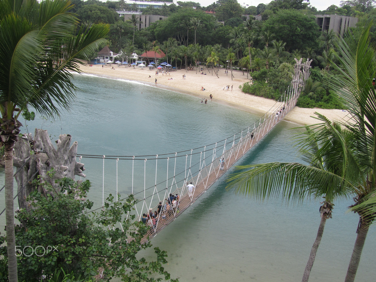 Canon PowerShot SX210 IS sample photo. The rope bridge bridging the coastlines photography